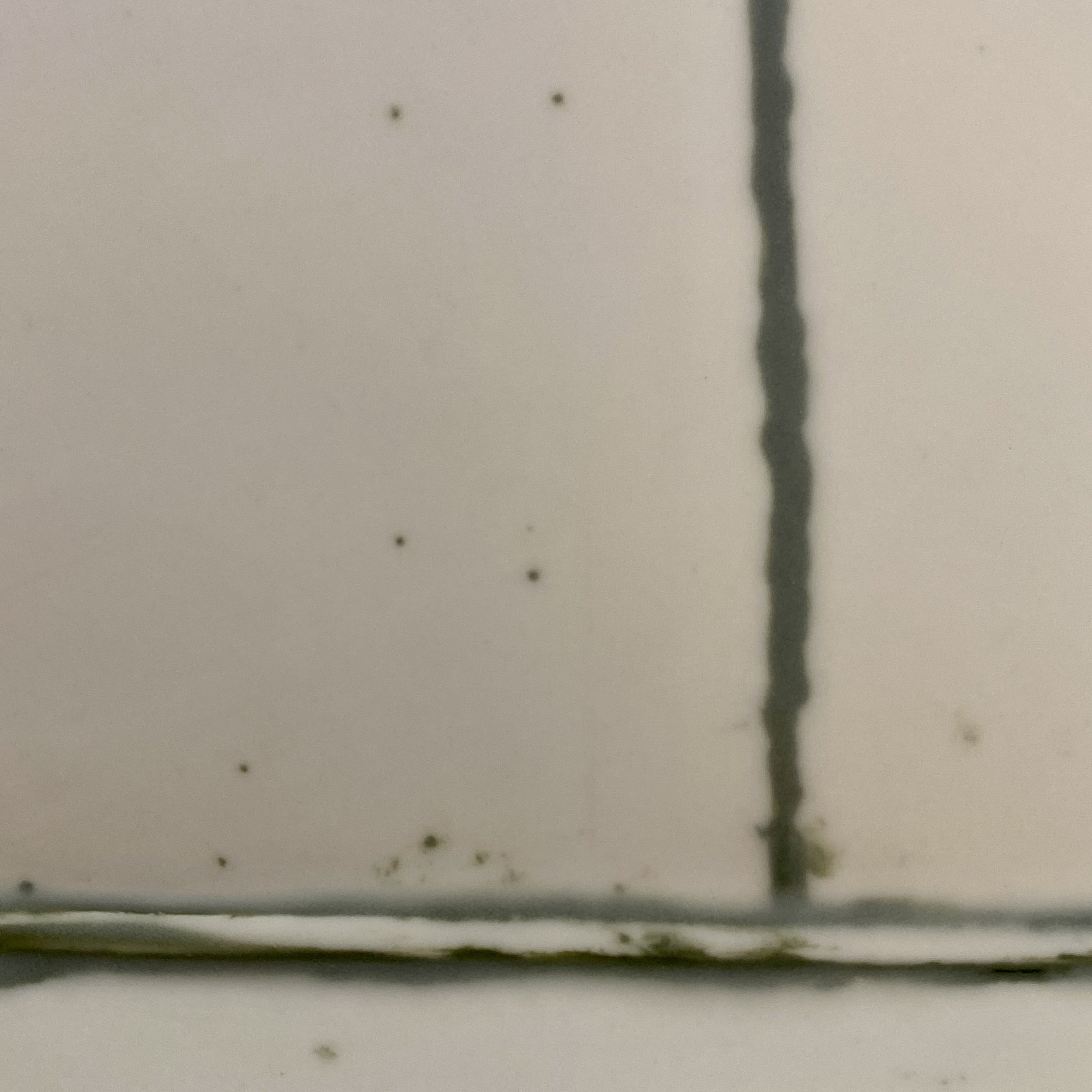 0427E523-F38B-4AEA-A35D-D96B4656C5A5.jpeg