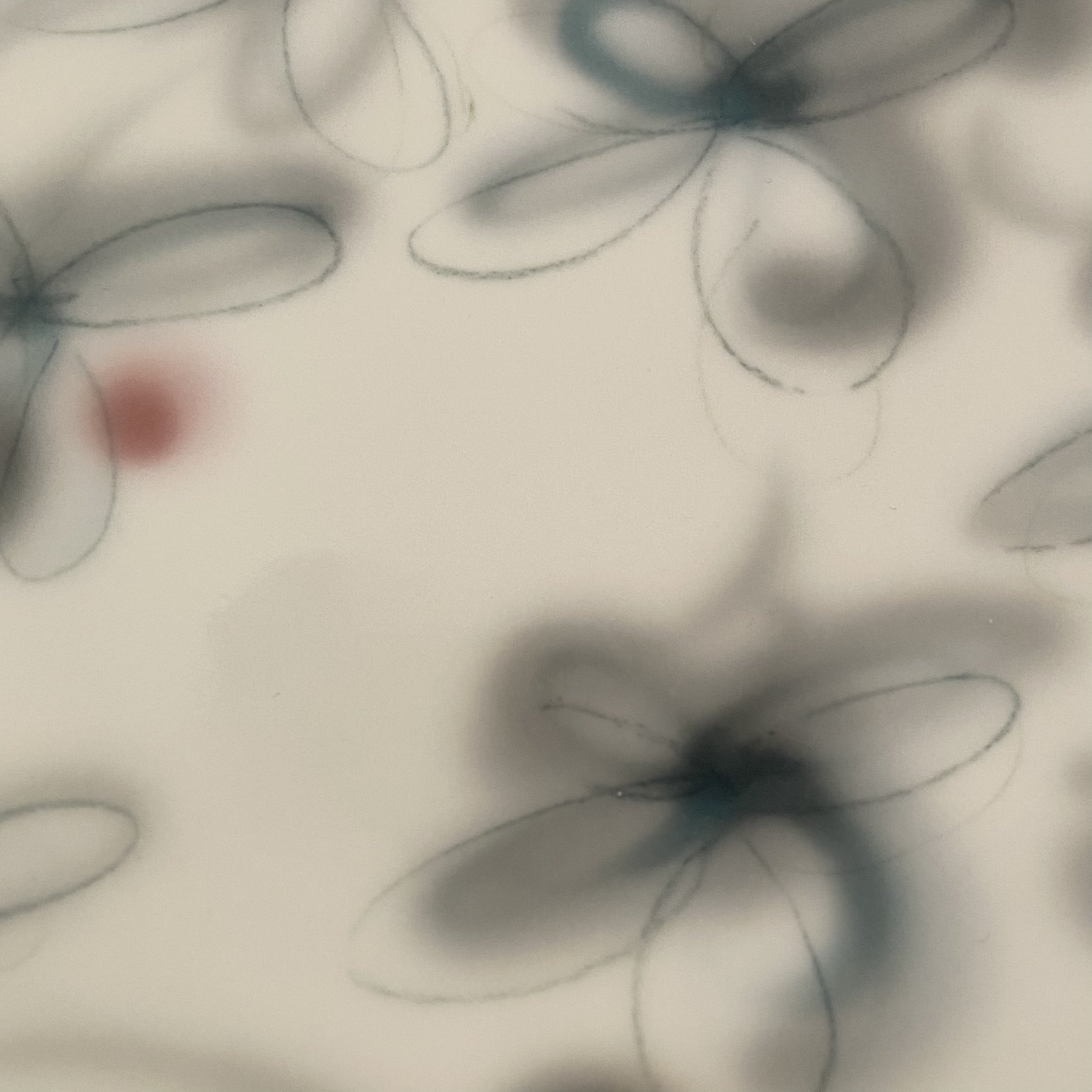 E0913D41-4444-4206-A89B-AC8C328557C0.jpeg