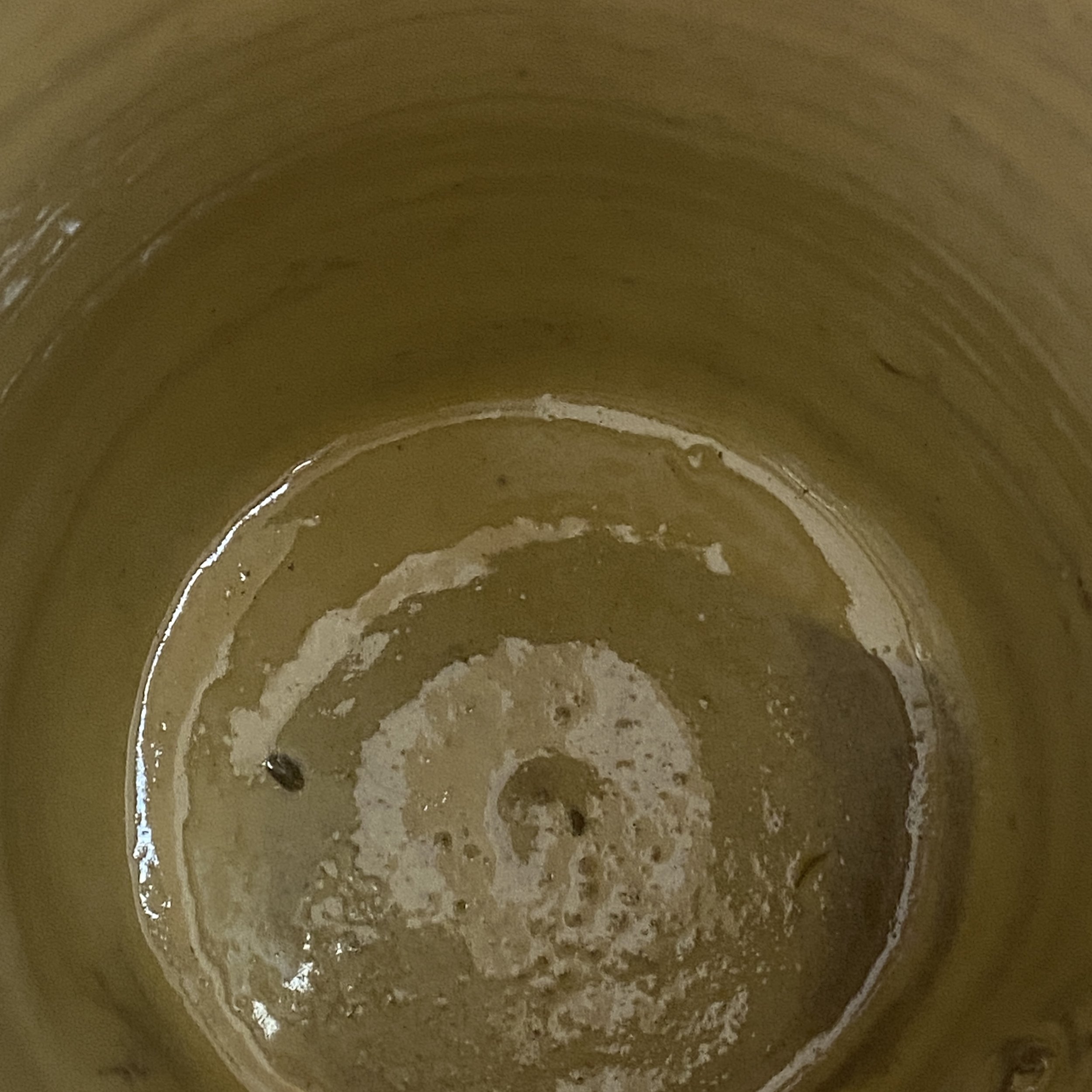 088CE167-A26C-4239-8083-AEBDBD31460C.jpeg