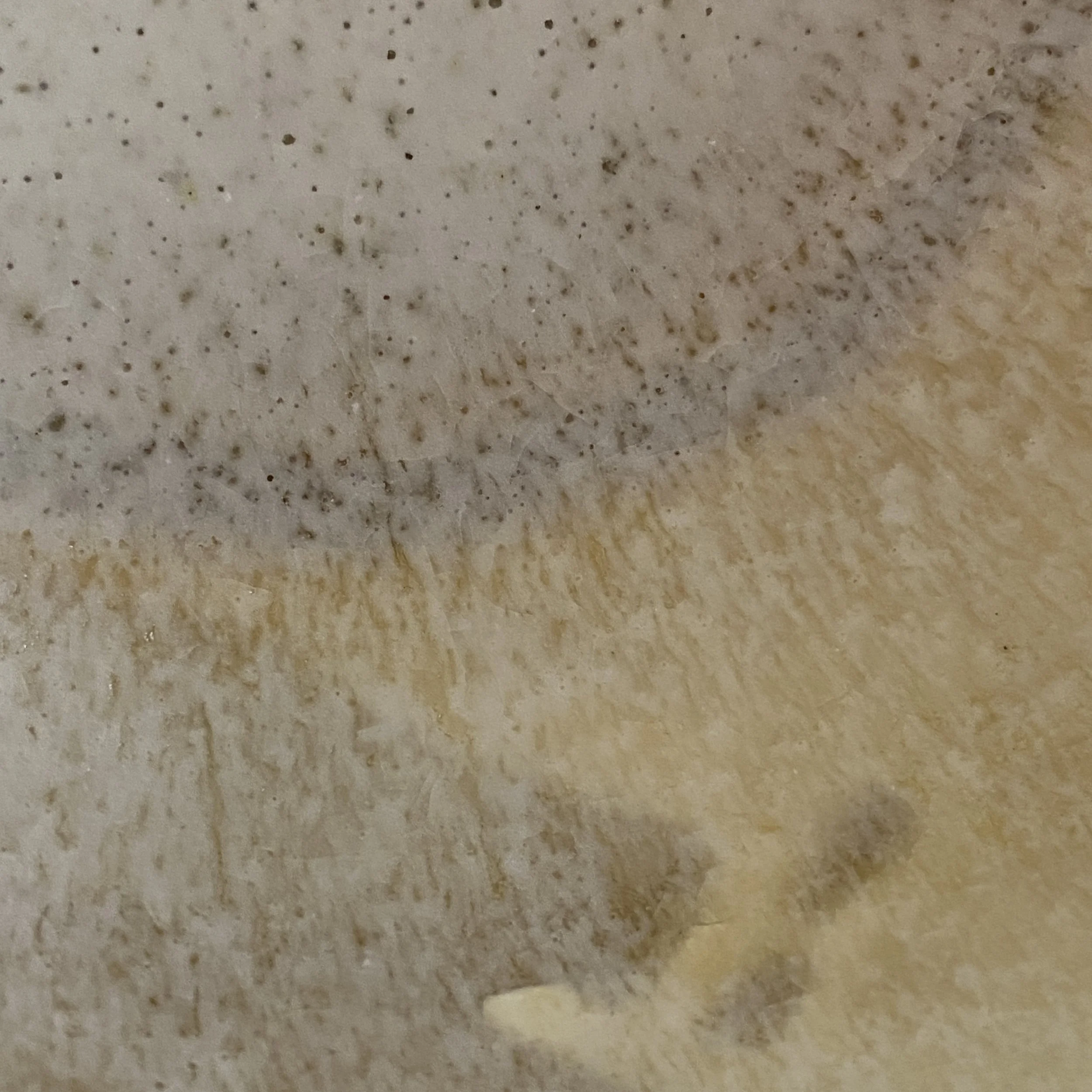 C236C1F6-DF34-4386-A7F0-316487F9C7C9.jpeg