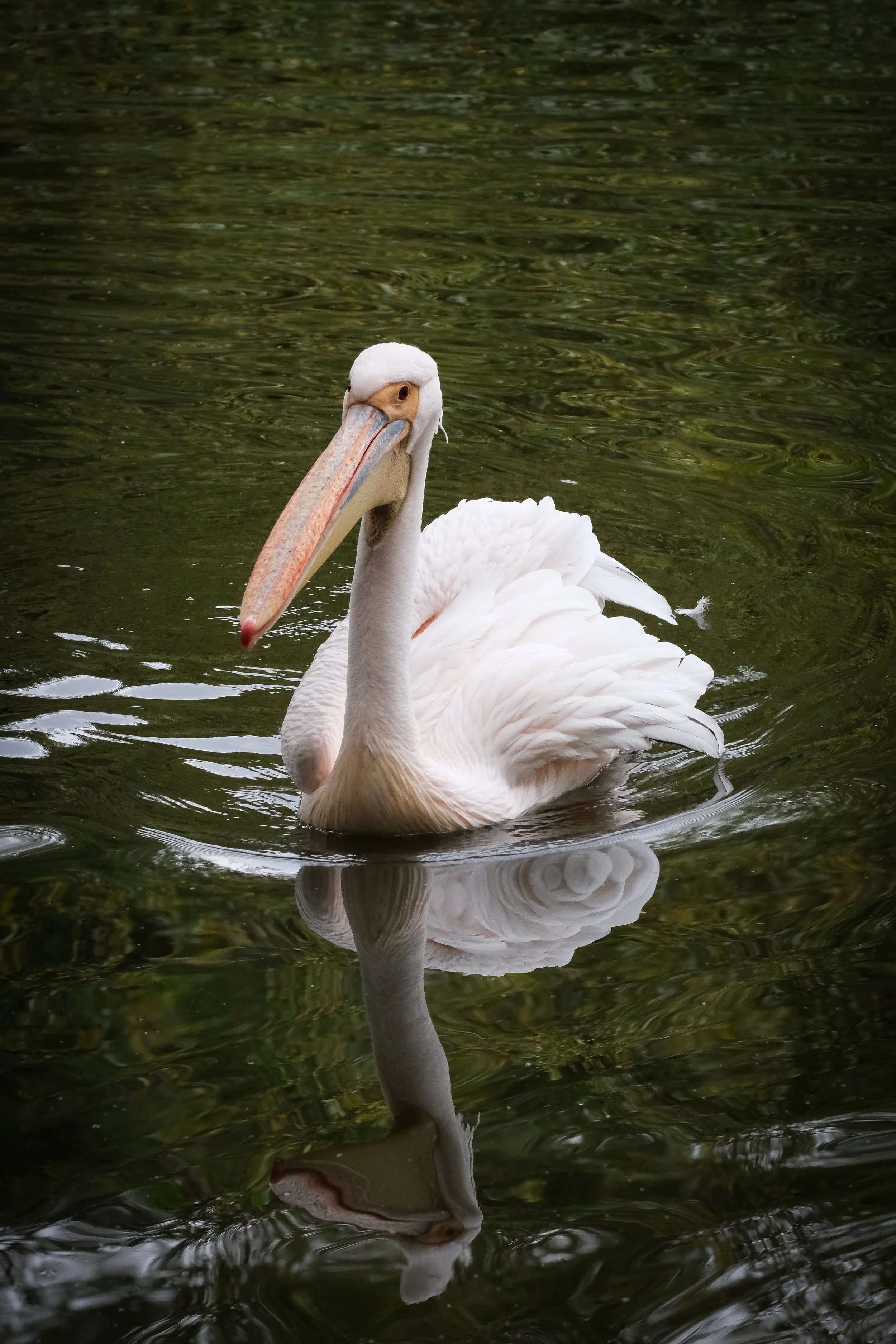 London 2 2024-11.jpg