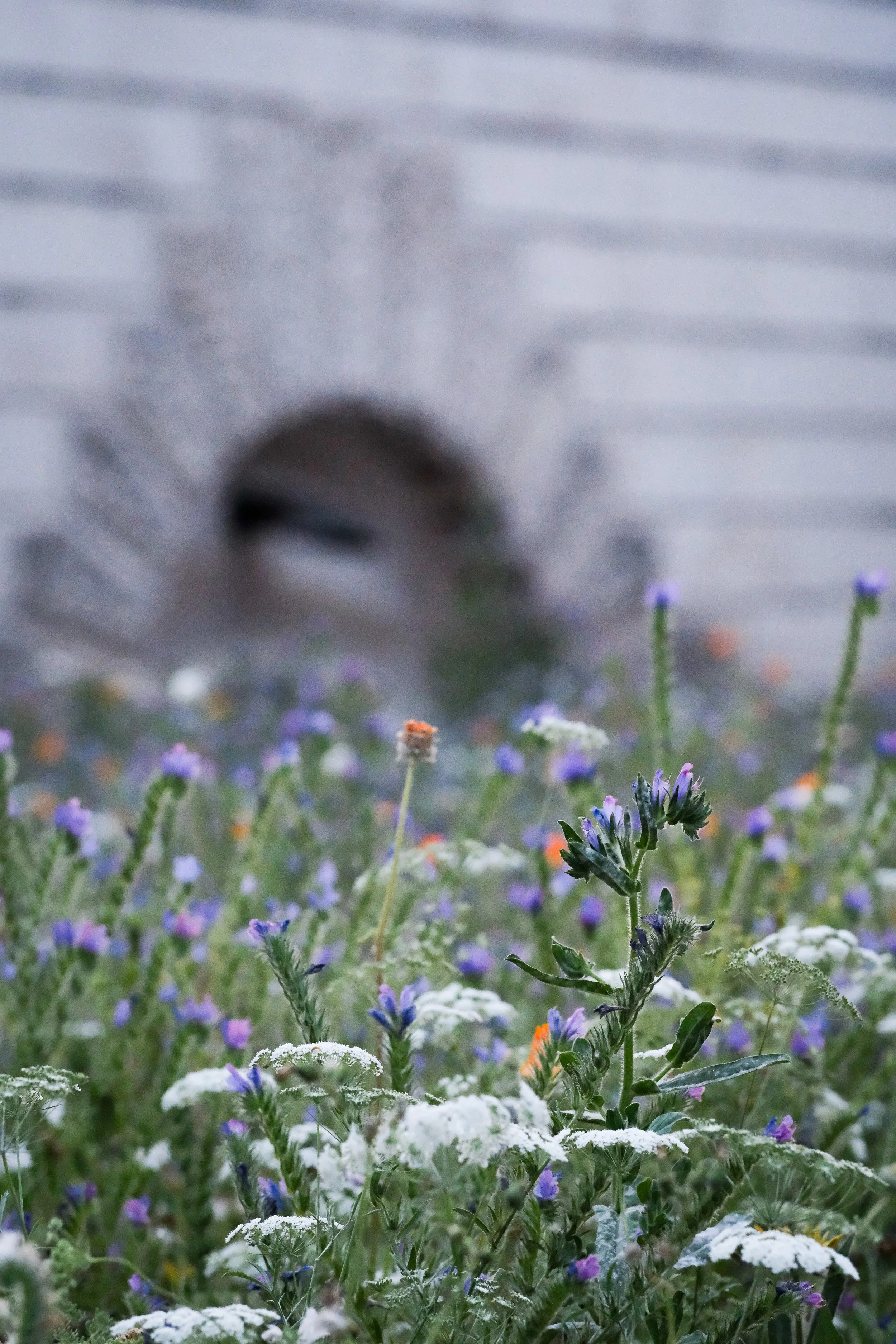 London 2 2024-01.jpg