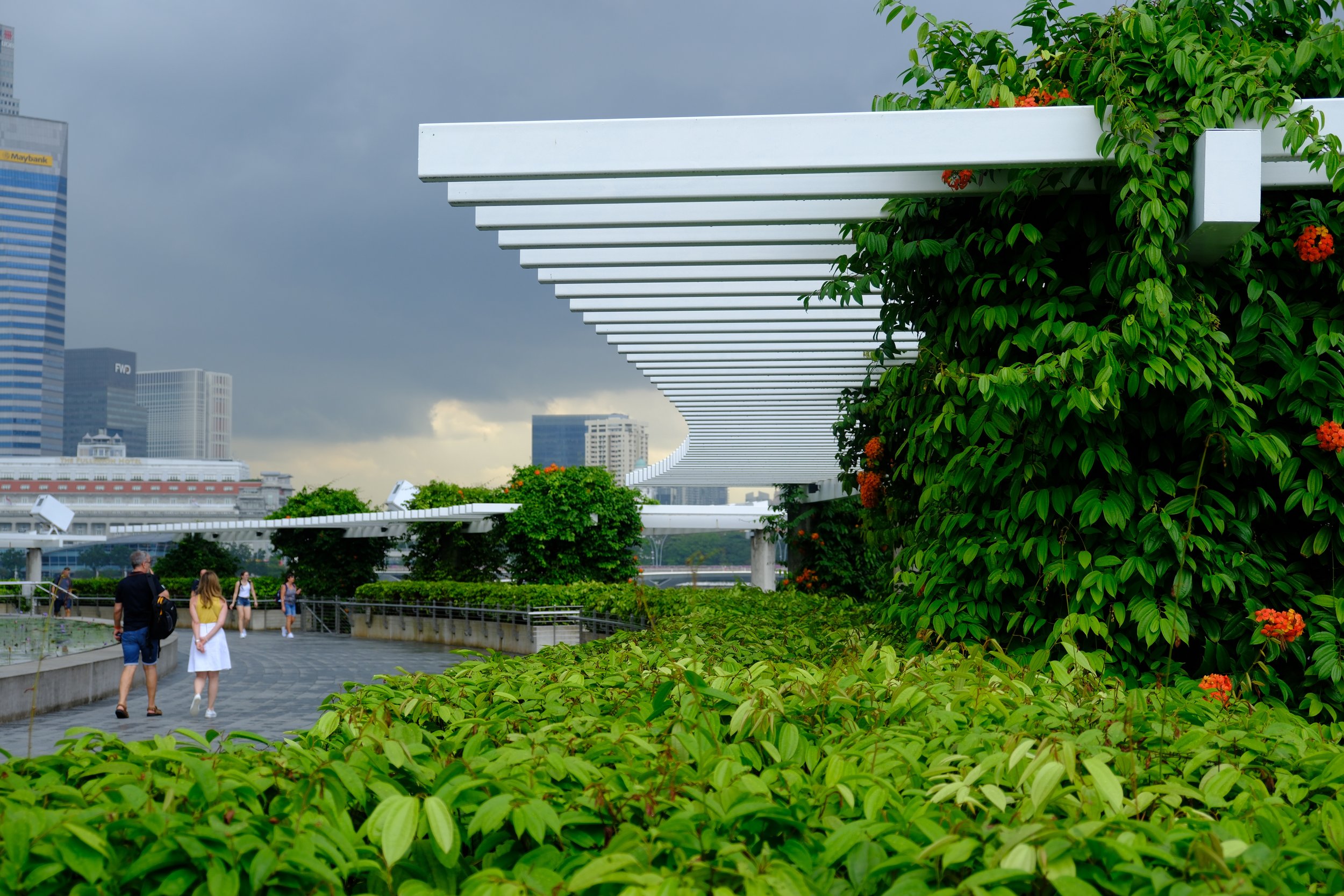 DSCF7545.jpg