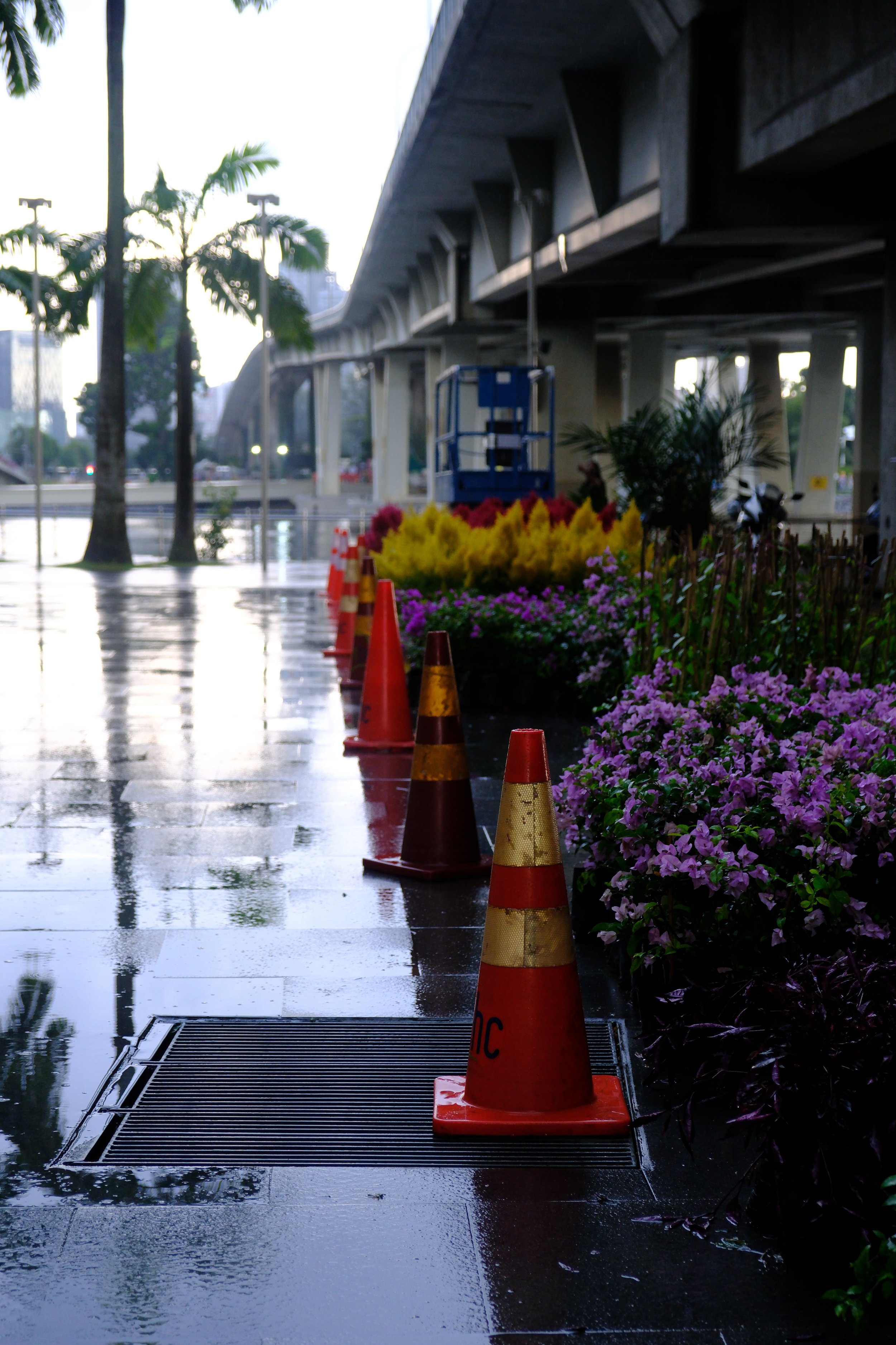 DSCF7705.jpg