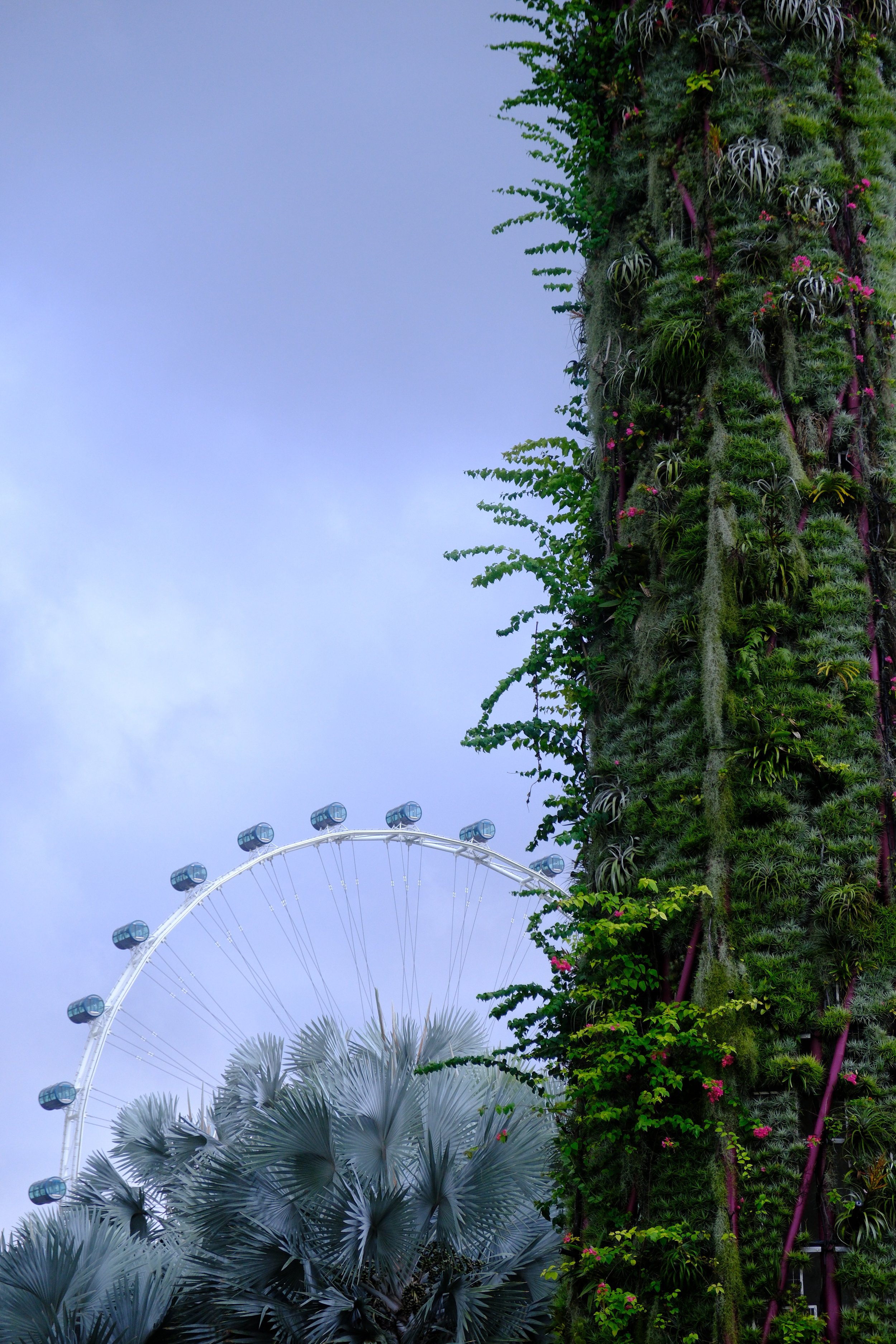 Silver Gardens