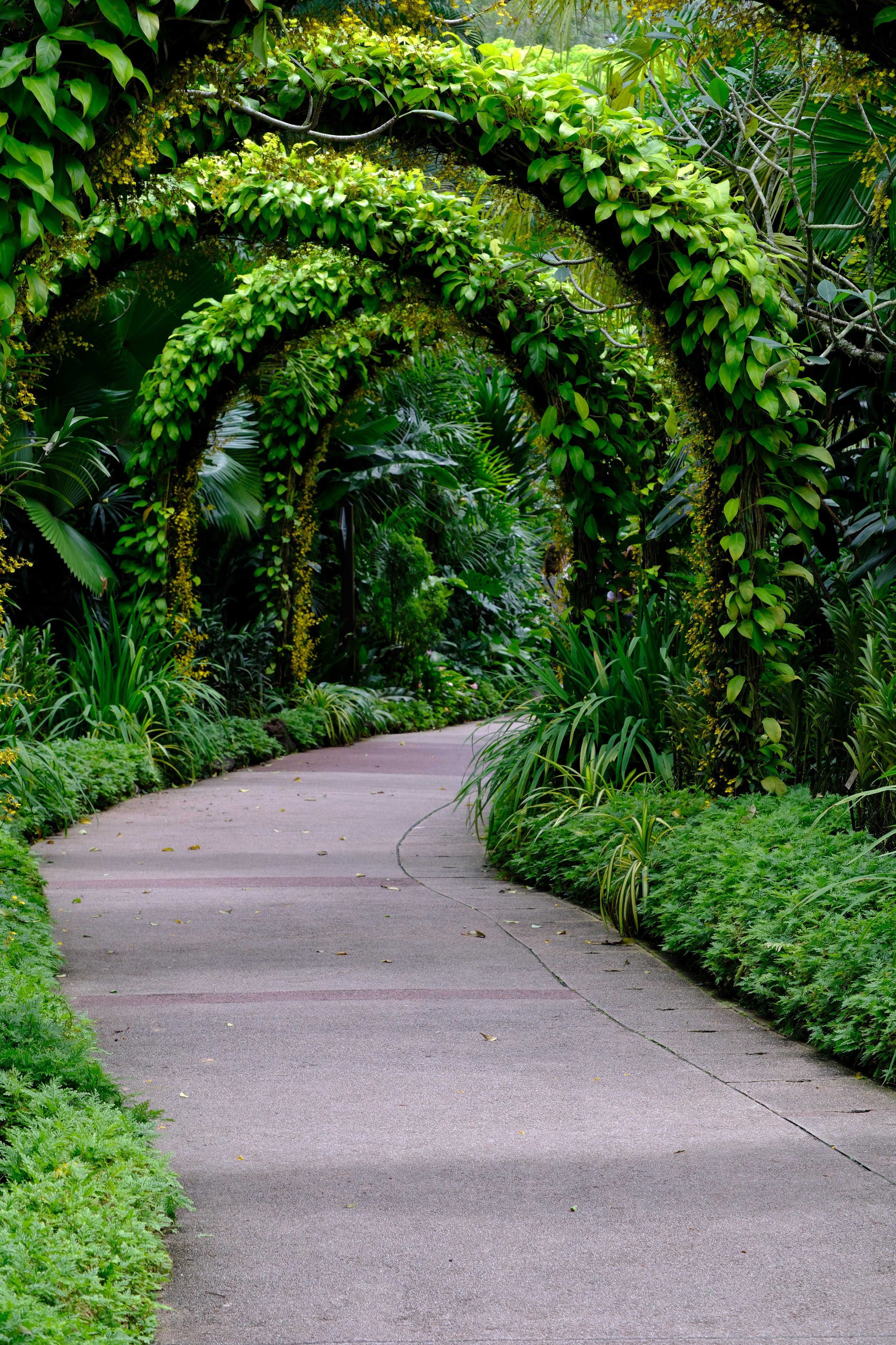 Singapore, Republic of Singapore (day 28 - Feb. 3, 2023)