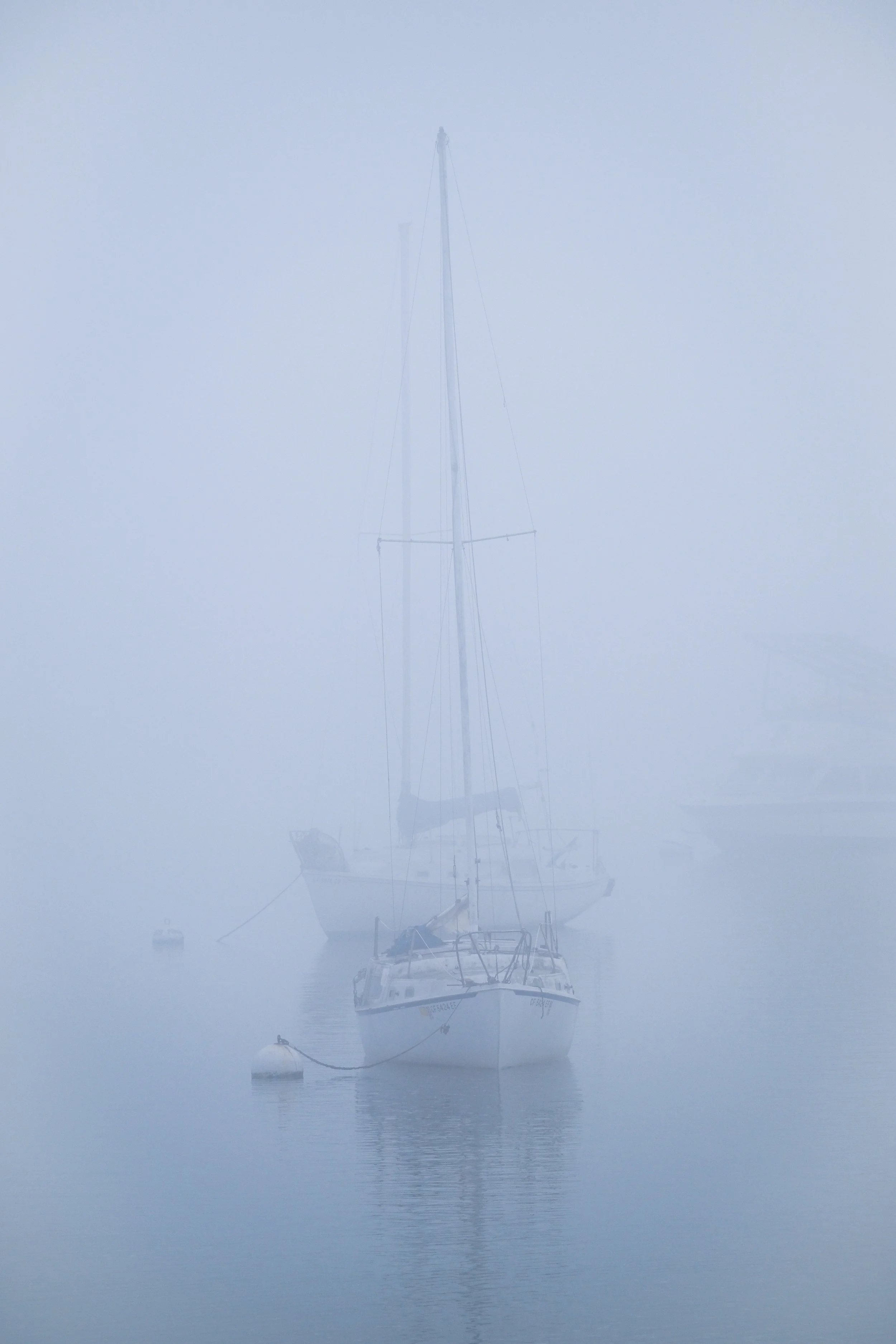 San Diego 2024-097.jpg