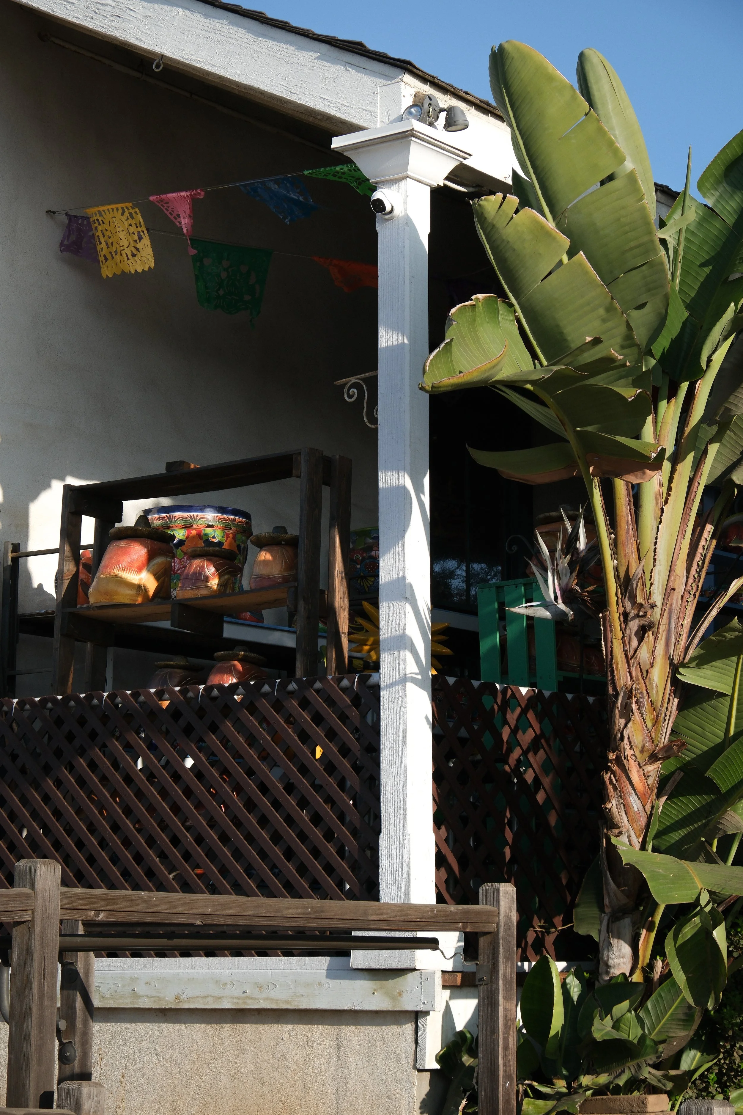 San Diego 2024-121.jpg