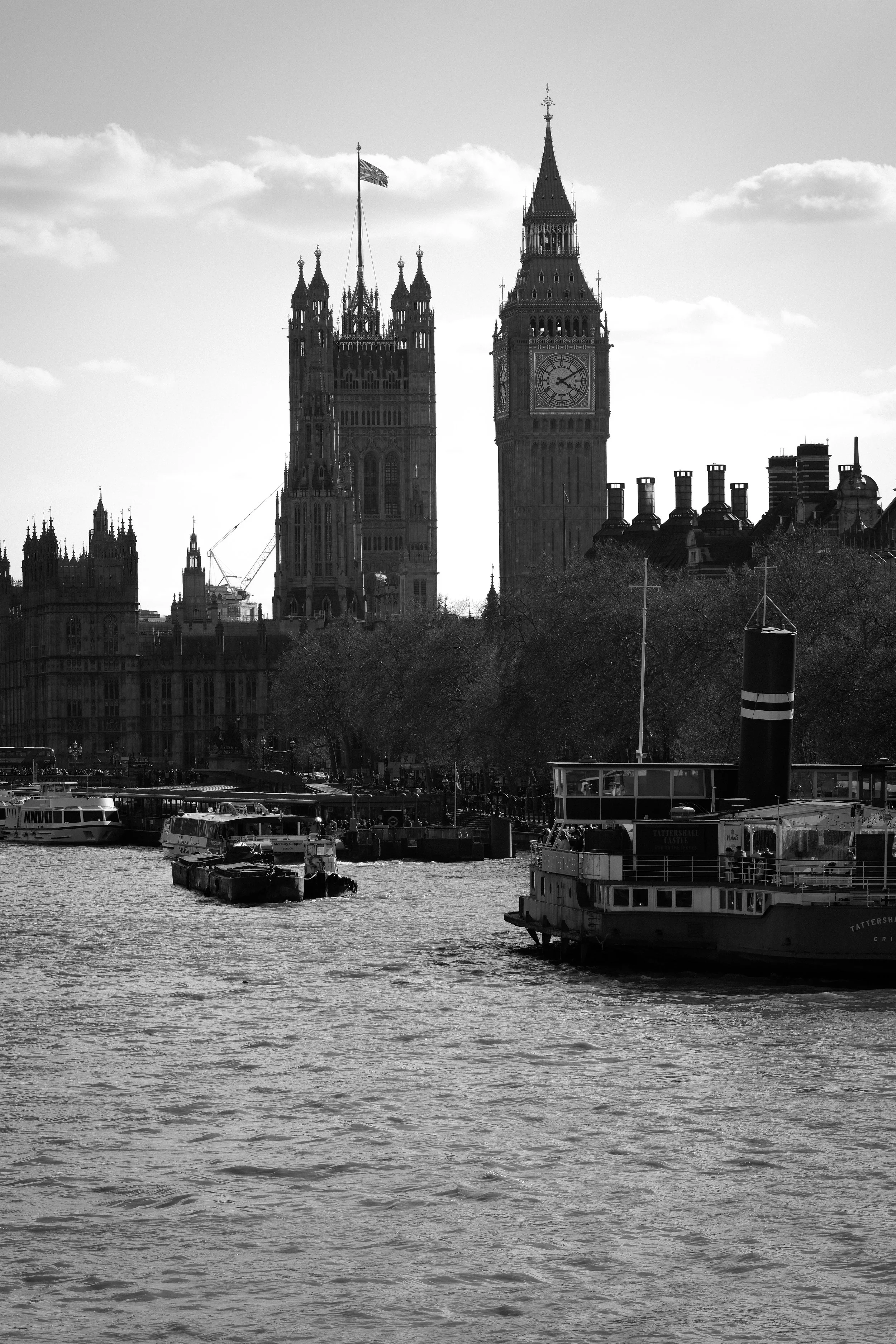 DSCF6522.jpg