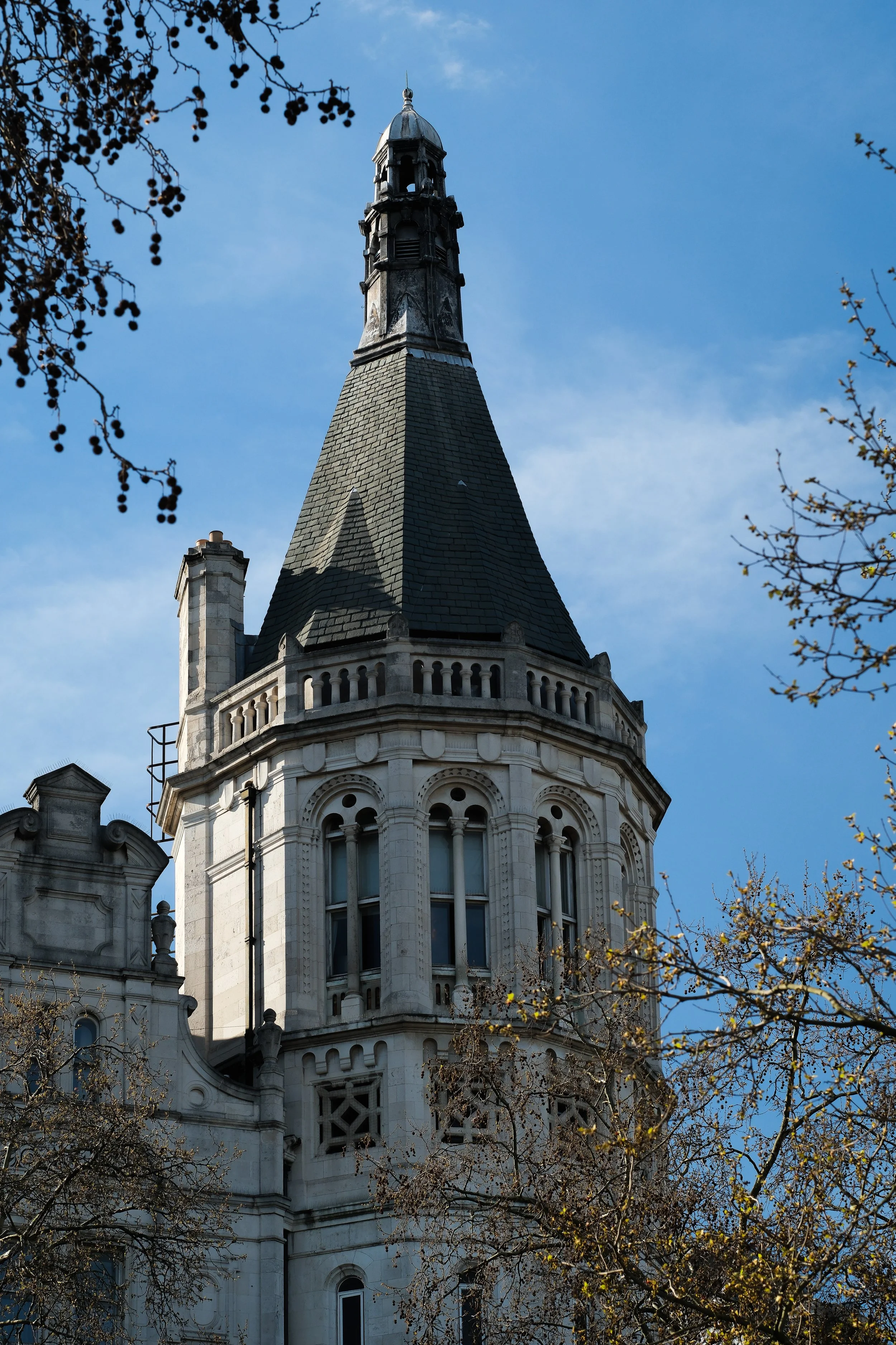 DSCF6550.jpg