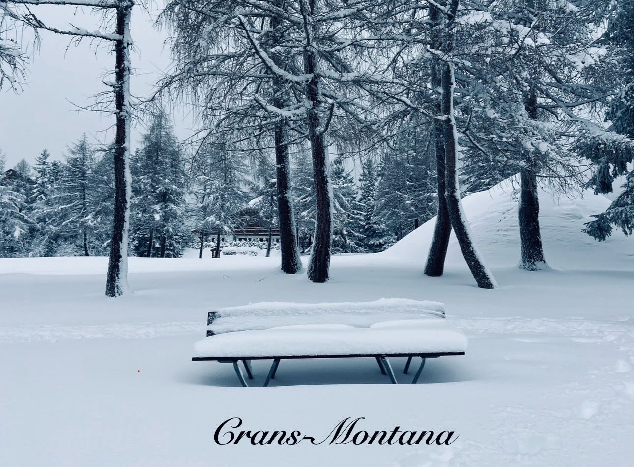 💔 Crans-Montana

Le drame survenu &agrave; Crans-Montana nous bouleverse toutes et tous.

Mes pens&eacute;es les plus sinc&egrave;res vont aux victimes, aux personnes bless&eacute;es, et &agrave; leurs proches plong&eacute;s dans une douleur immense