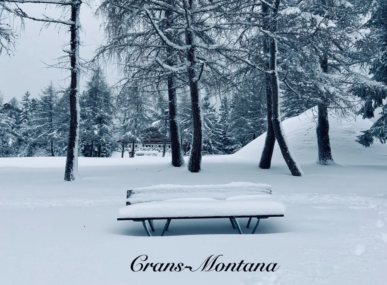 💔 Crans-Montana

Le drame survenu &agrave; Crans-Montana nous bouleverse toutes et tous.

Mes pens&eacute;es les plus sinc&egrave;res vont aux victimes, aux personnes bless&eacute;es, et &agrave; leurs proches plong&eacute;s dans une douleur immense
