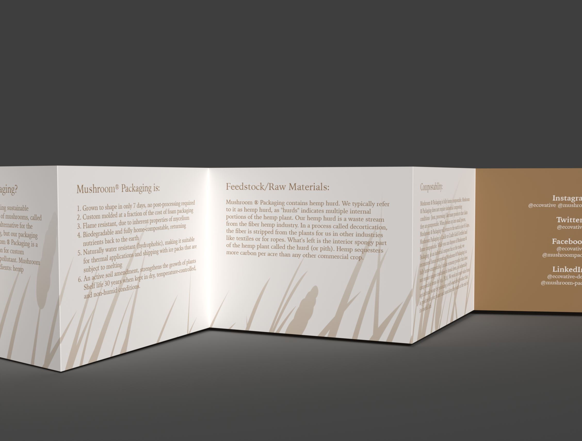 Morello accordion fold information book close up