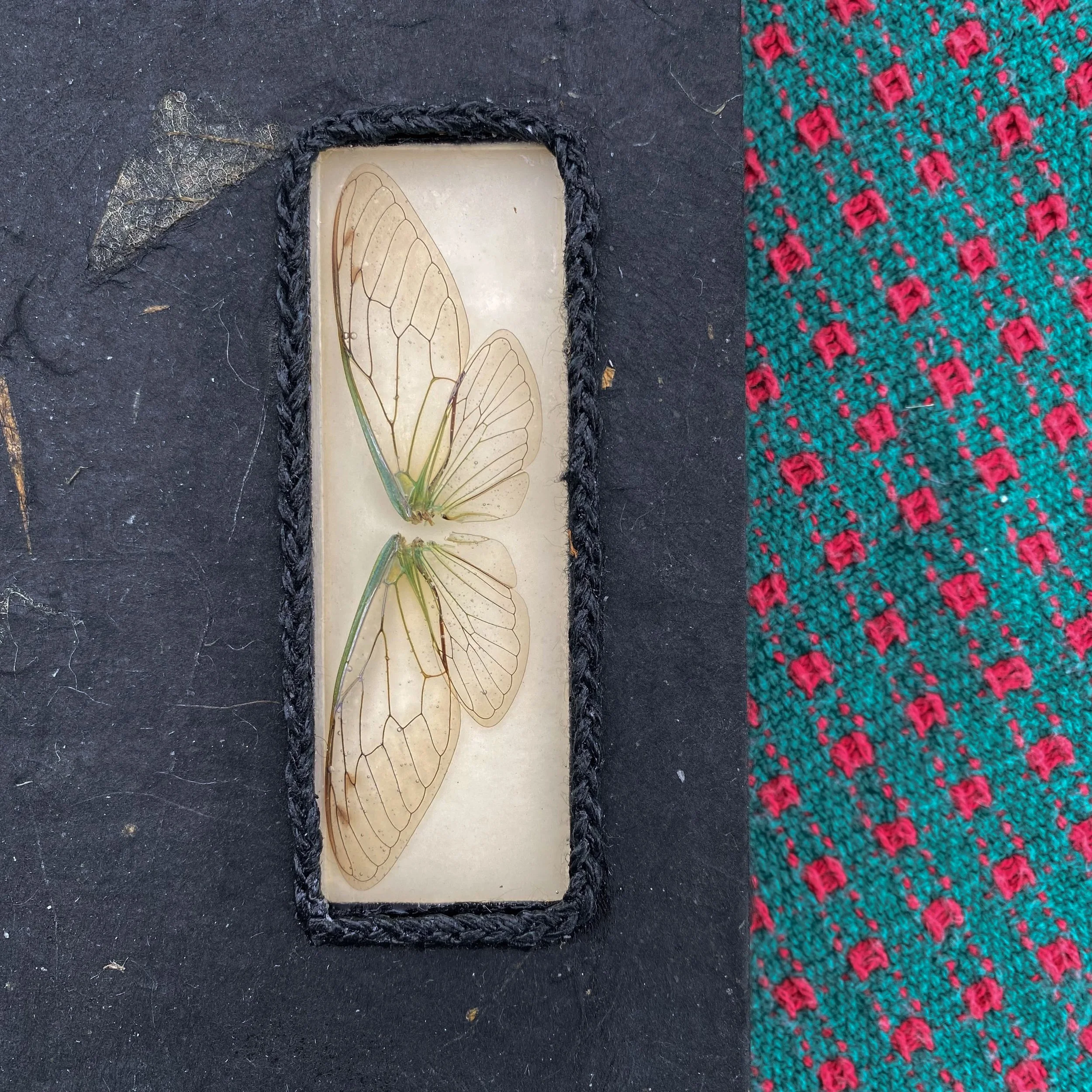 Hand Bound Cicada Window Journal