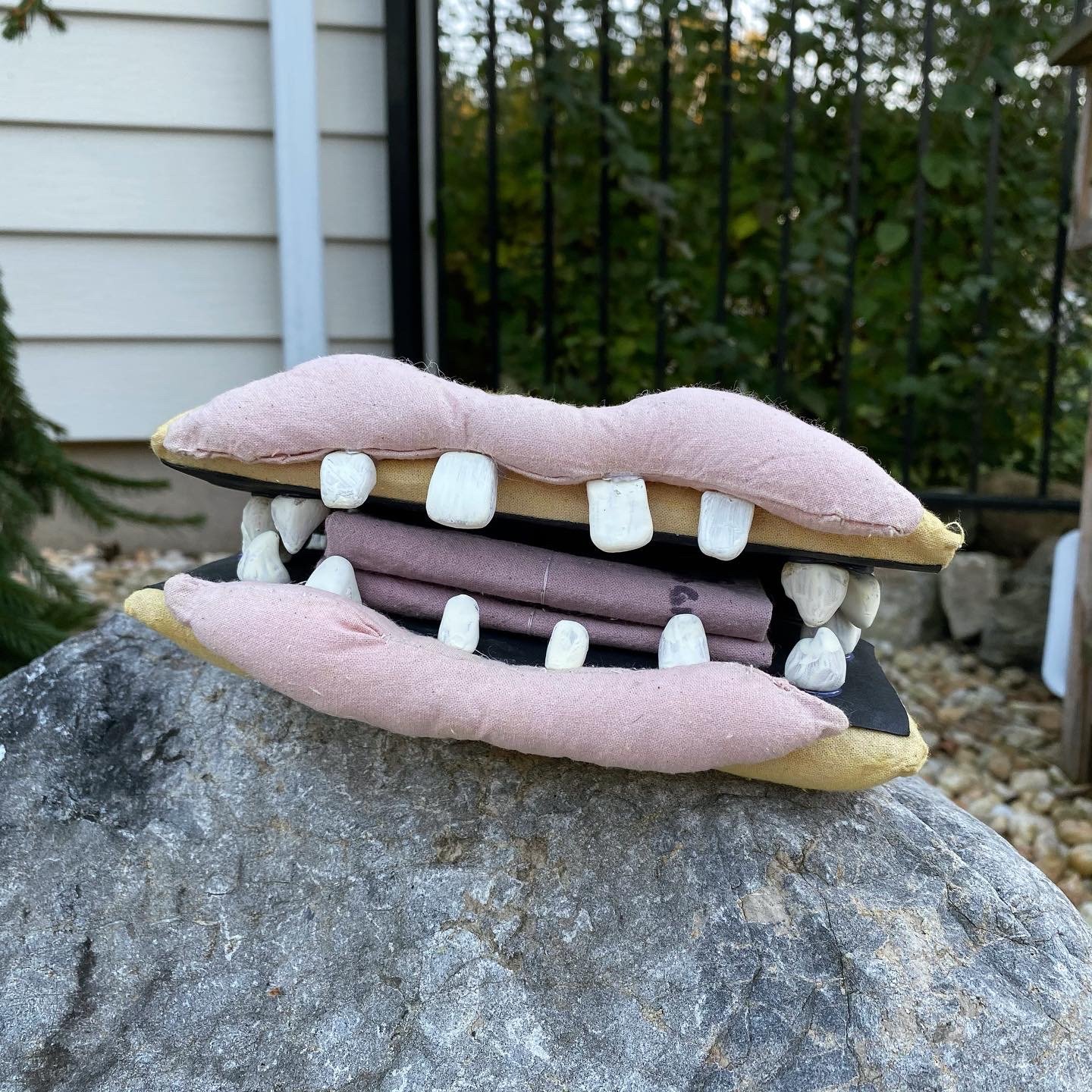 Mouth Journal
