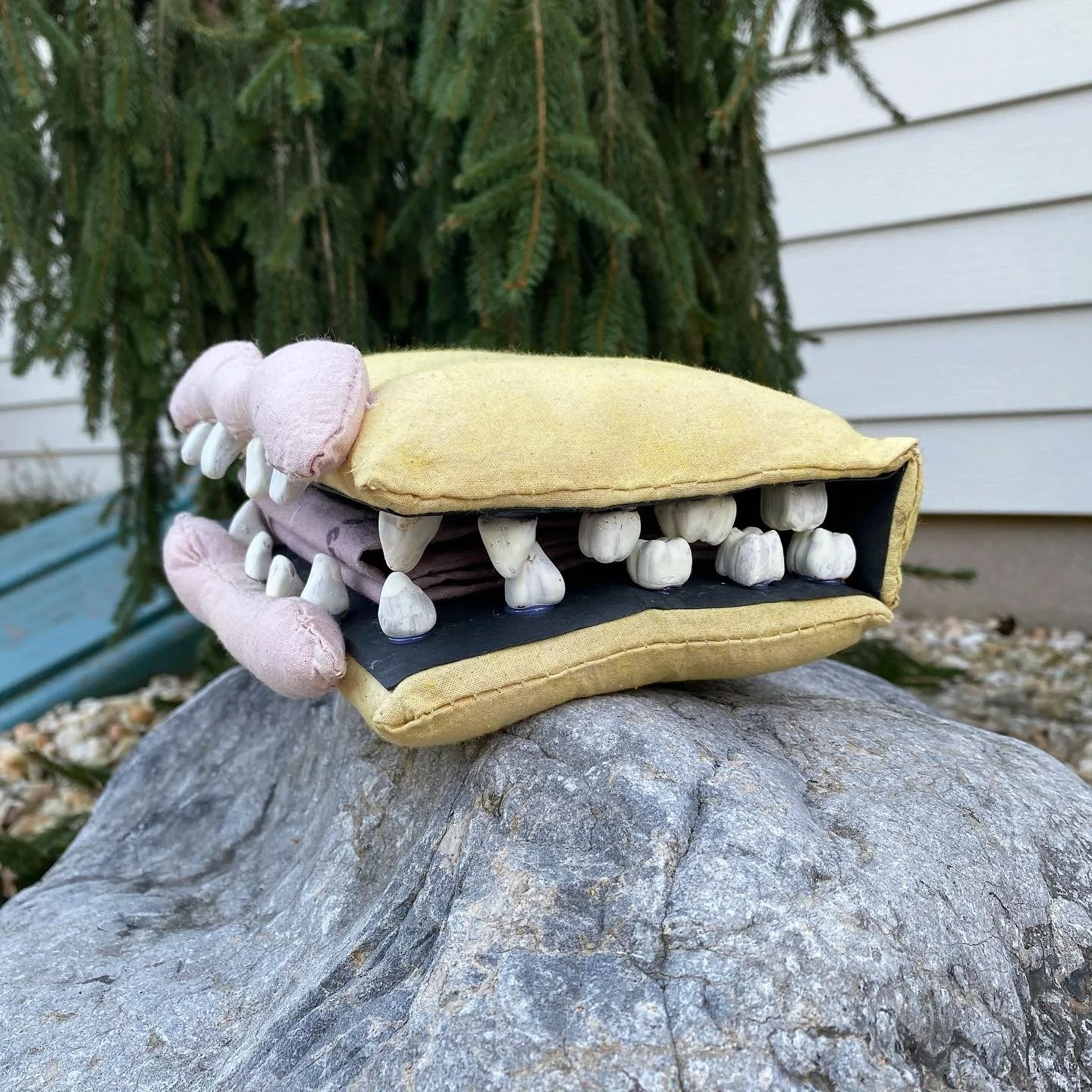Mouth Journal