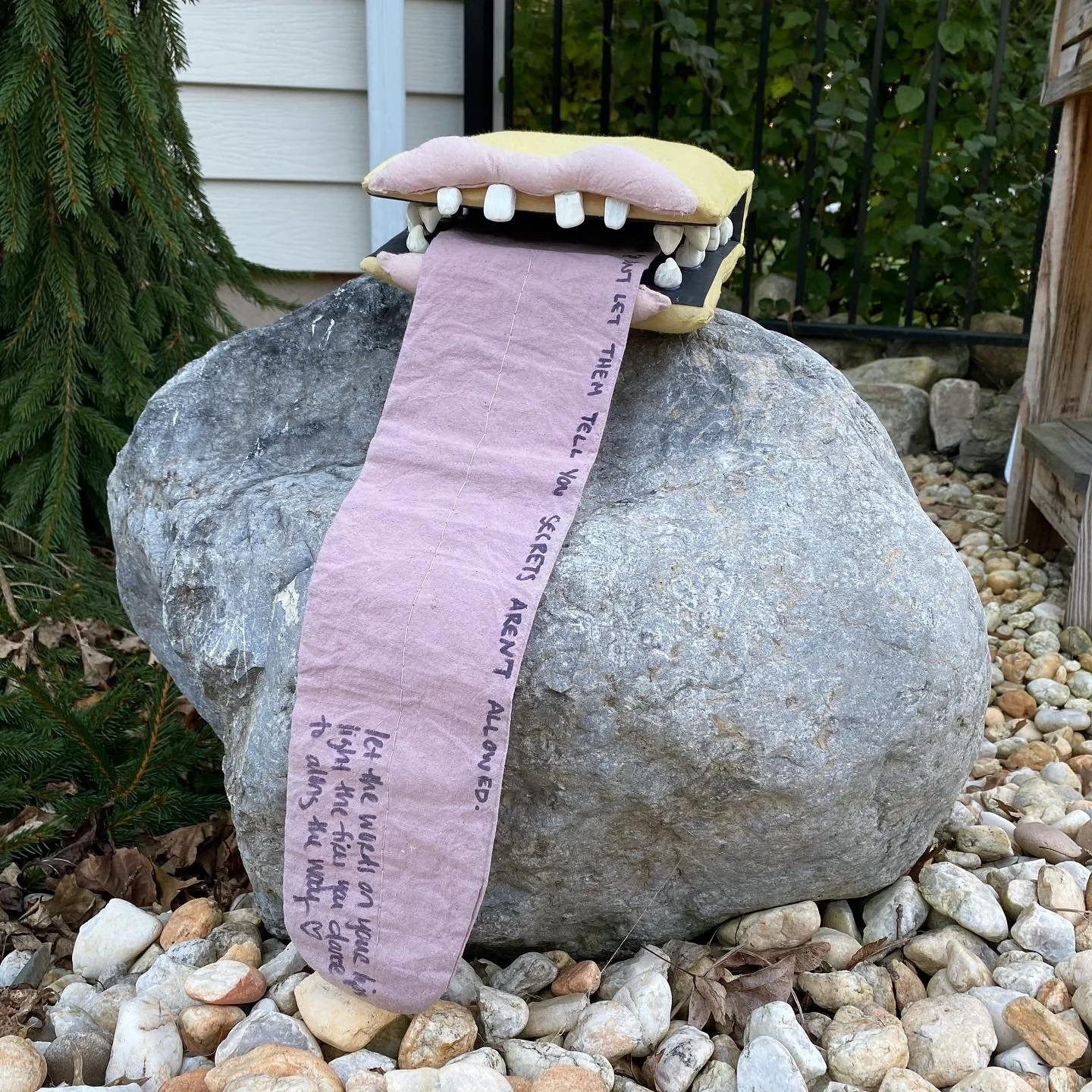 Mouth Journal