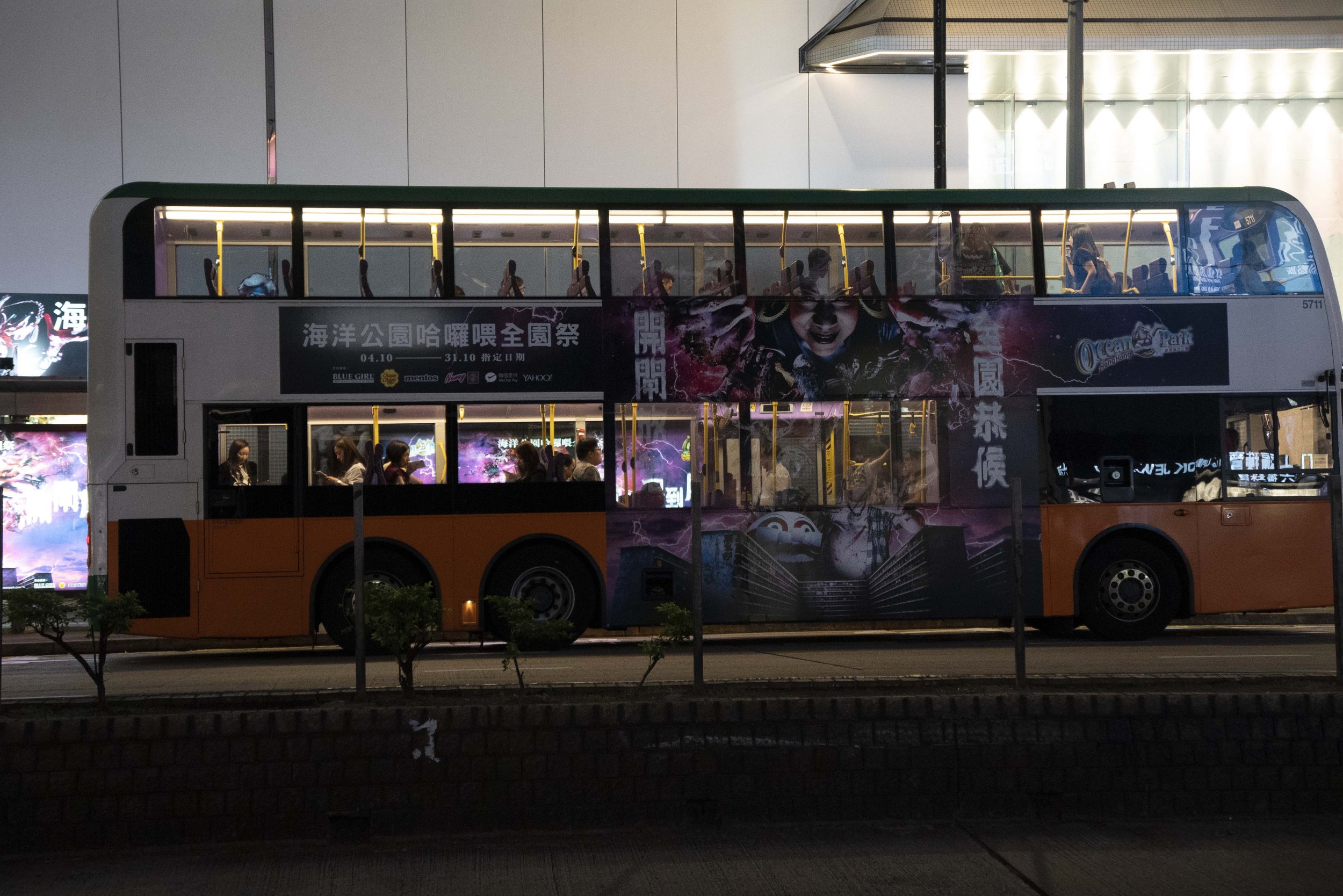 DSC08453.jpg