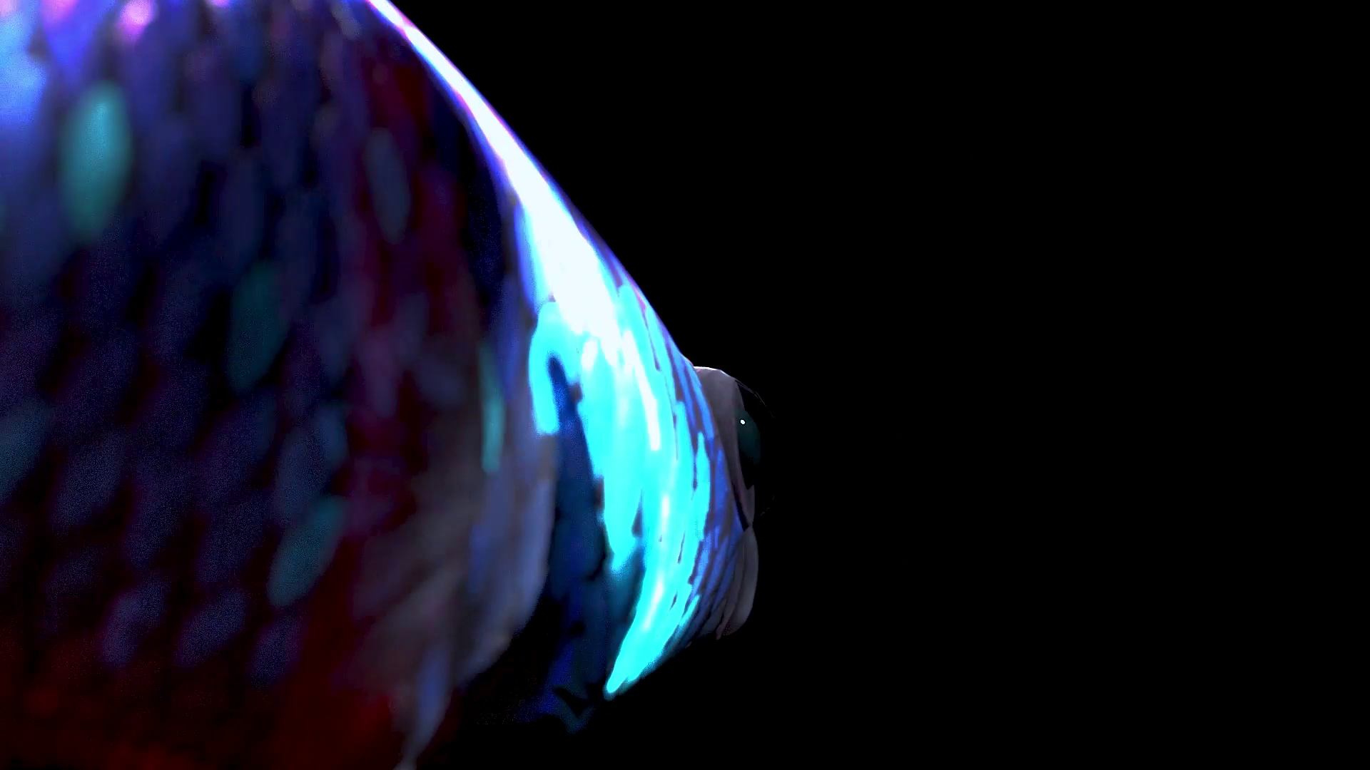 vlcsnap-2023-03-27-15h38m12s664.png