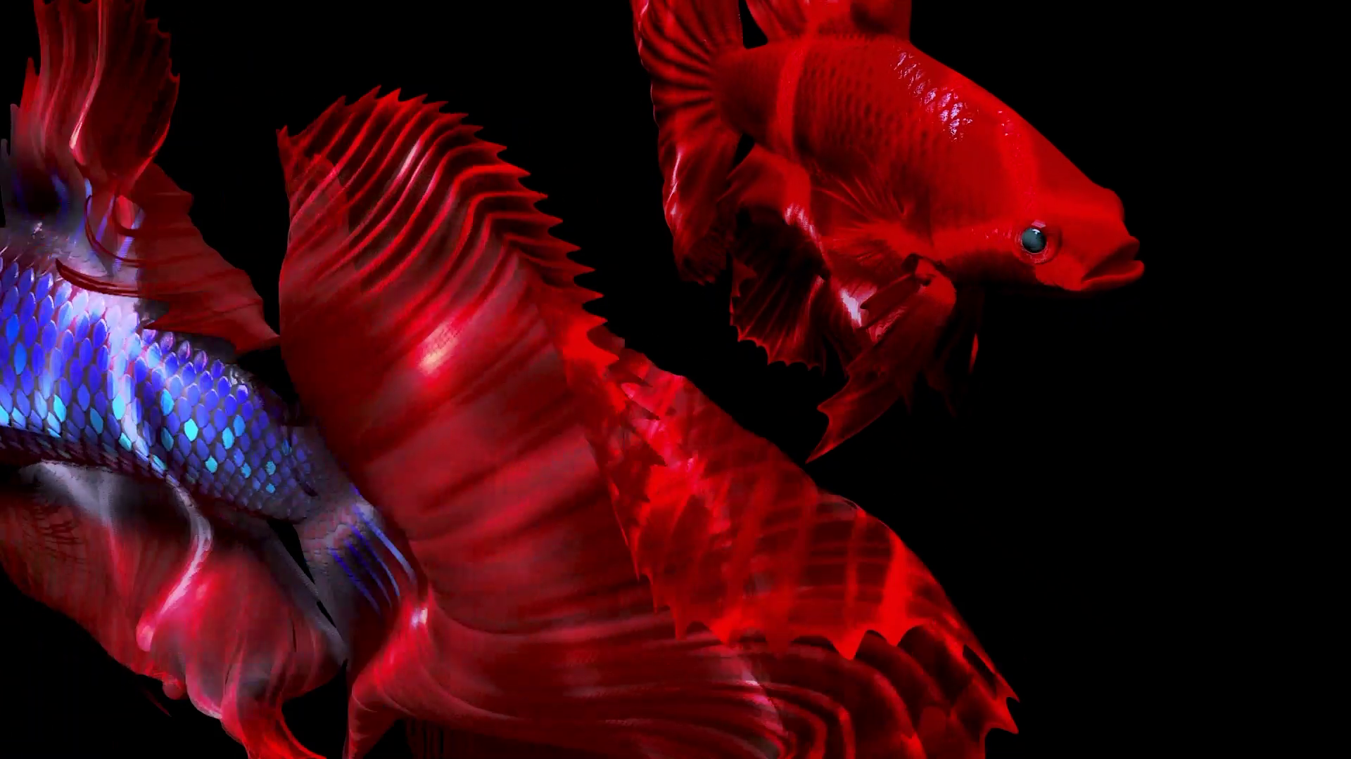 vlcsnap-2023-03-27-15h38m17s862.png