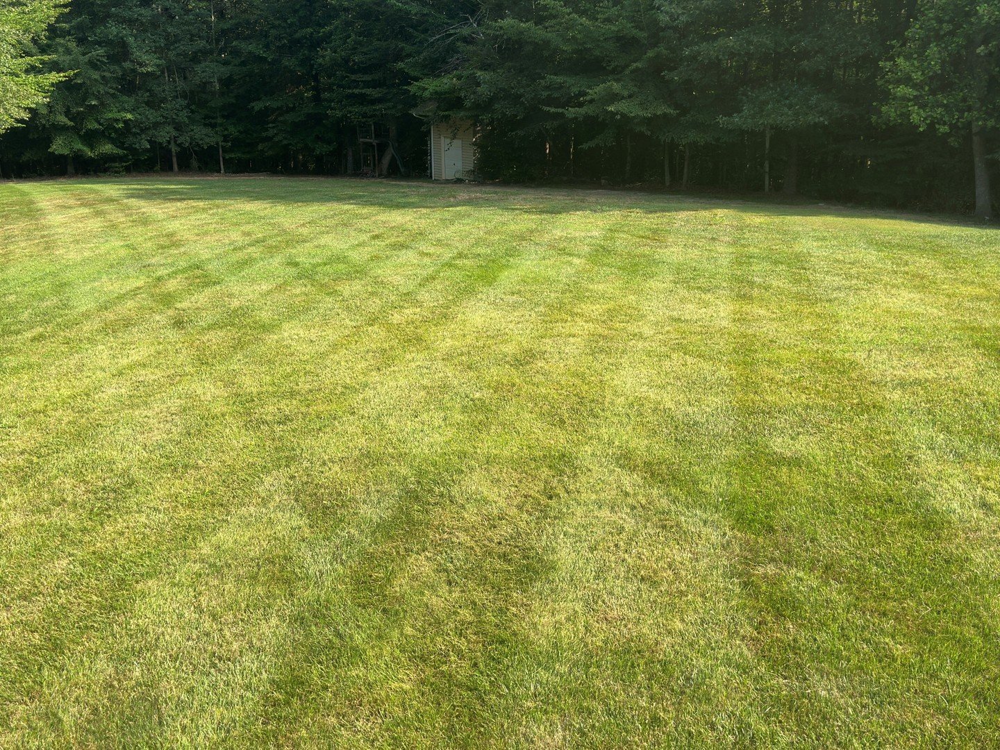 Is mowing your own lawn a smart choice—or silently sabotaging your life and business? My neighbor’s comment sparked an introspection about time, value, and the hidden costs of “doing it all.” This story of lawn stripes, legacy