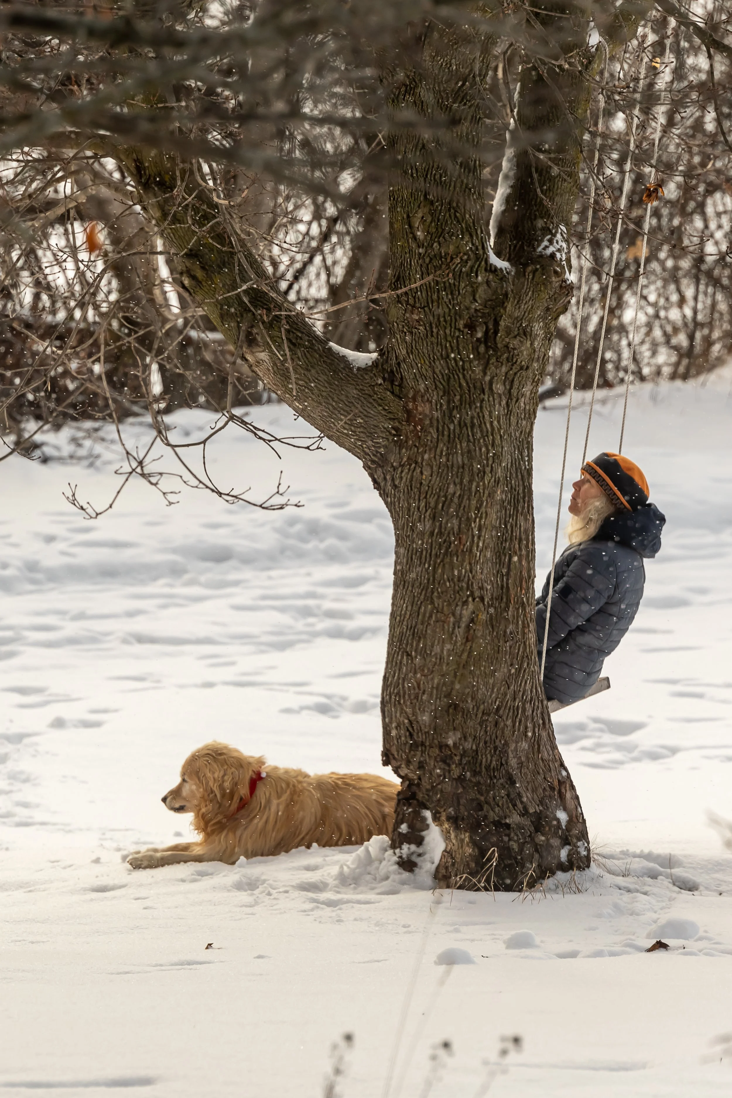 ladydog1 (1 of 1).jpg