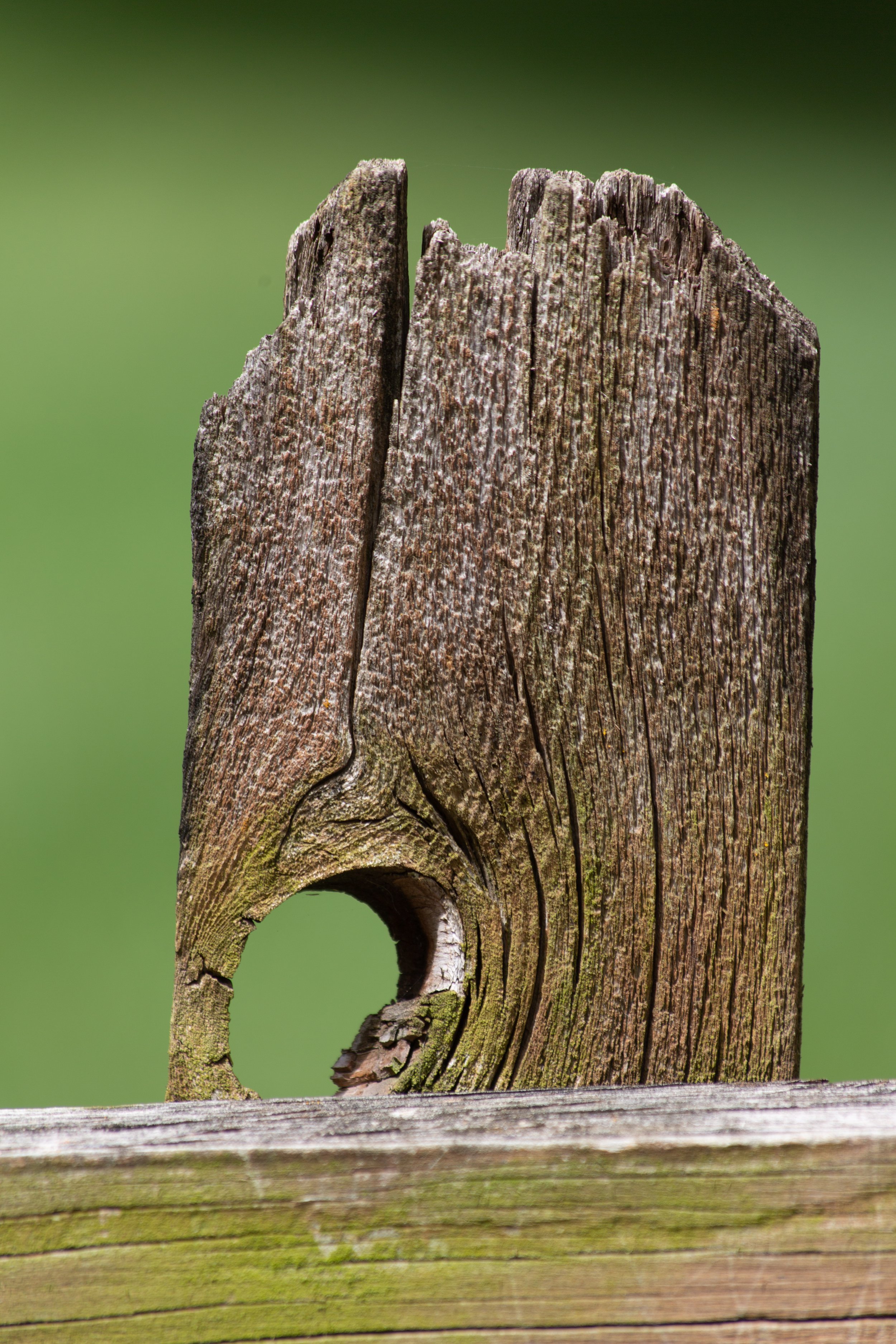 holefence (1 of 1).jpg