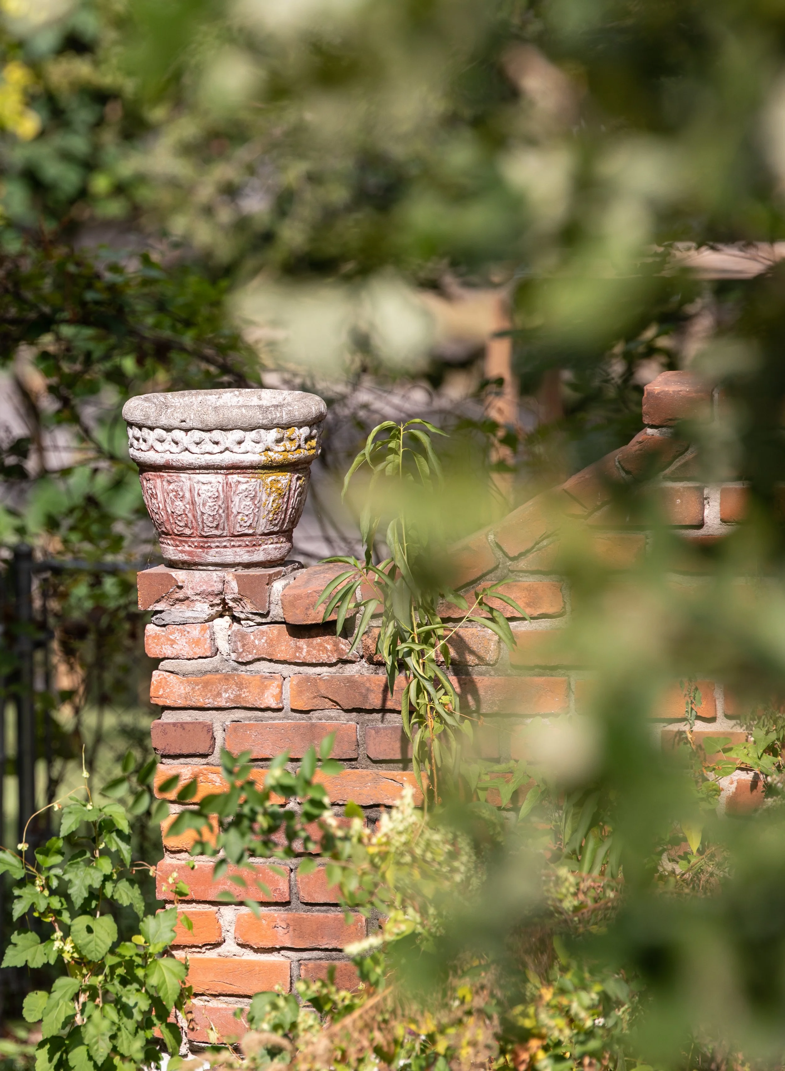 planter (1 of 1).jpg