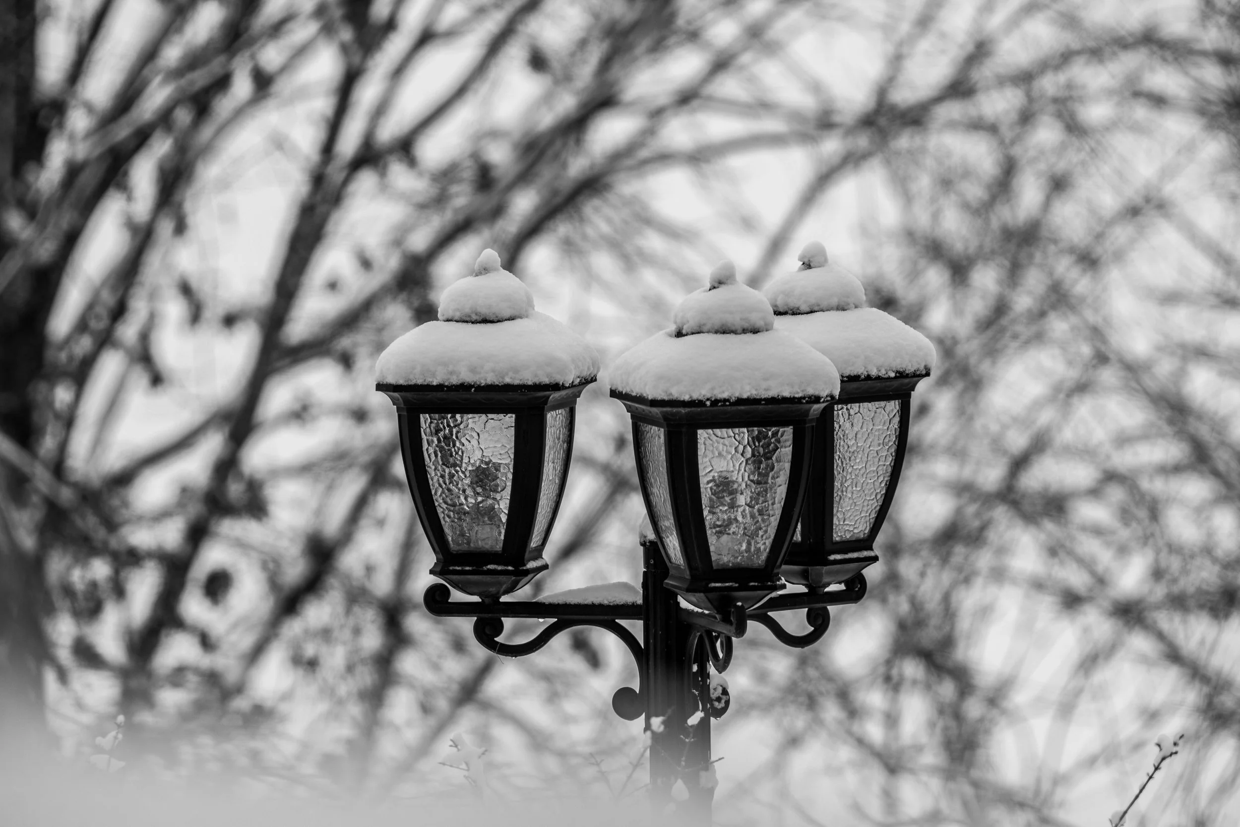 lampsnowtrees (1 of 1).jpg