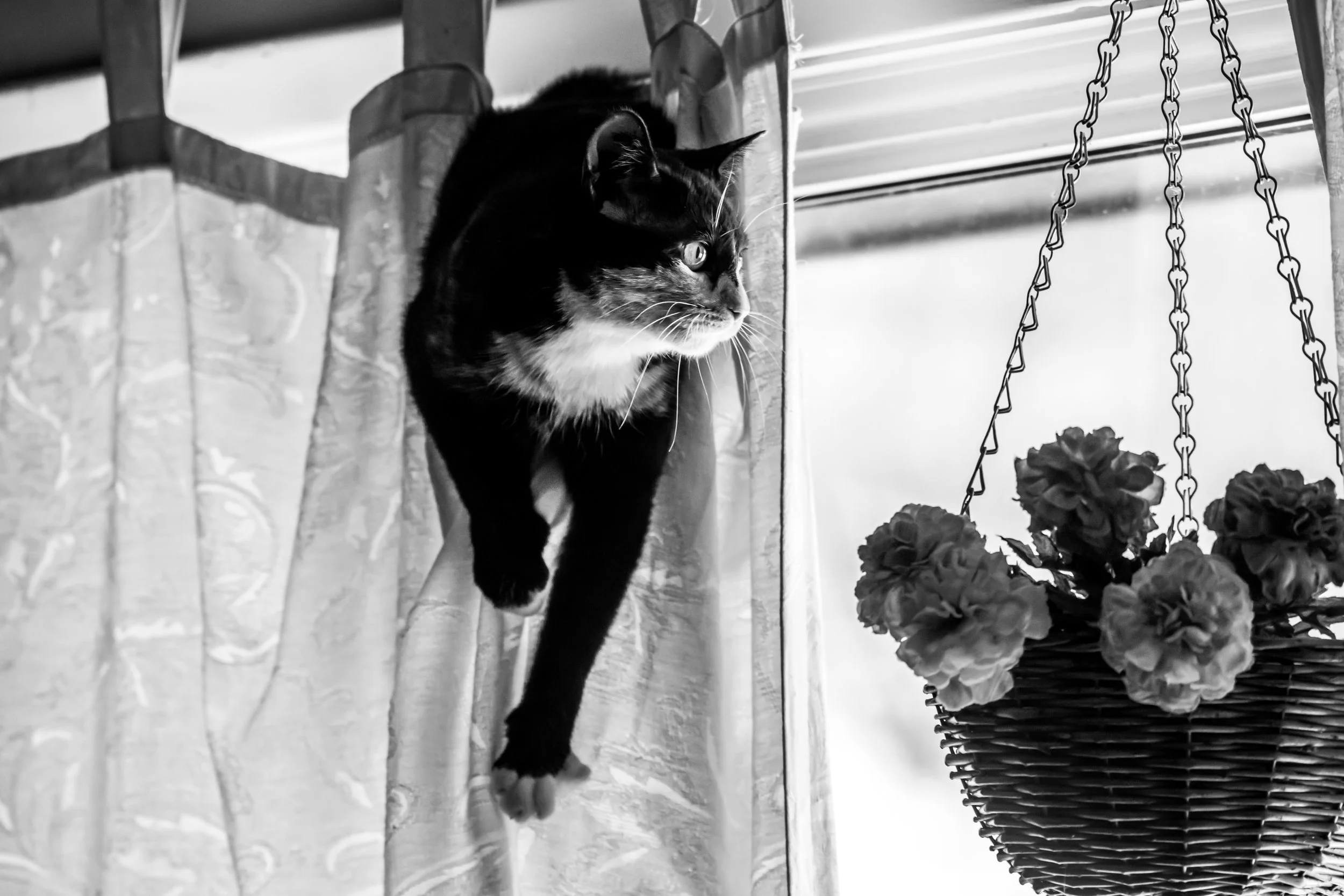 luna2-21-22 (1 of 1).jpg