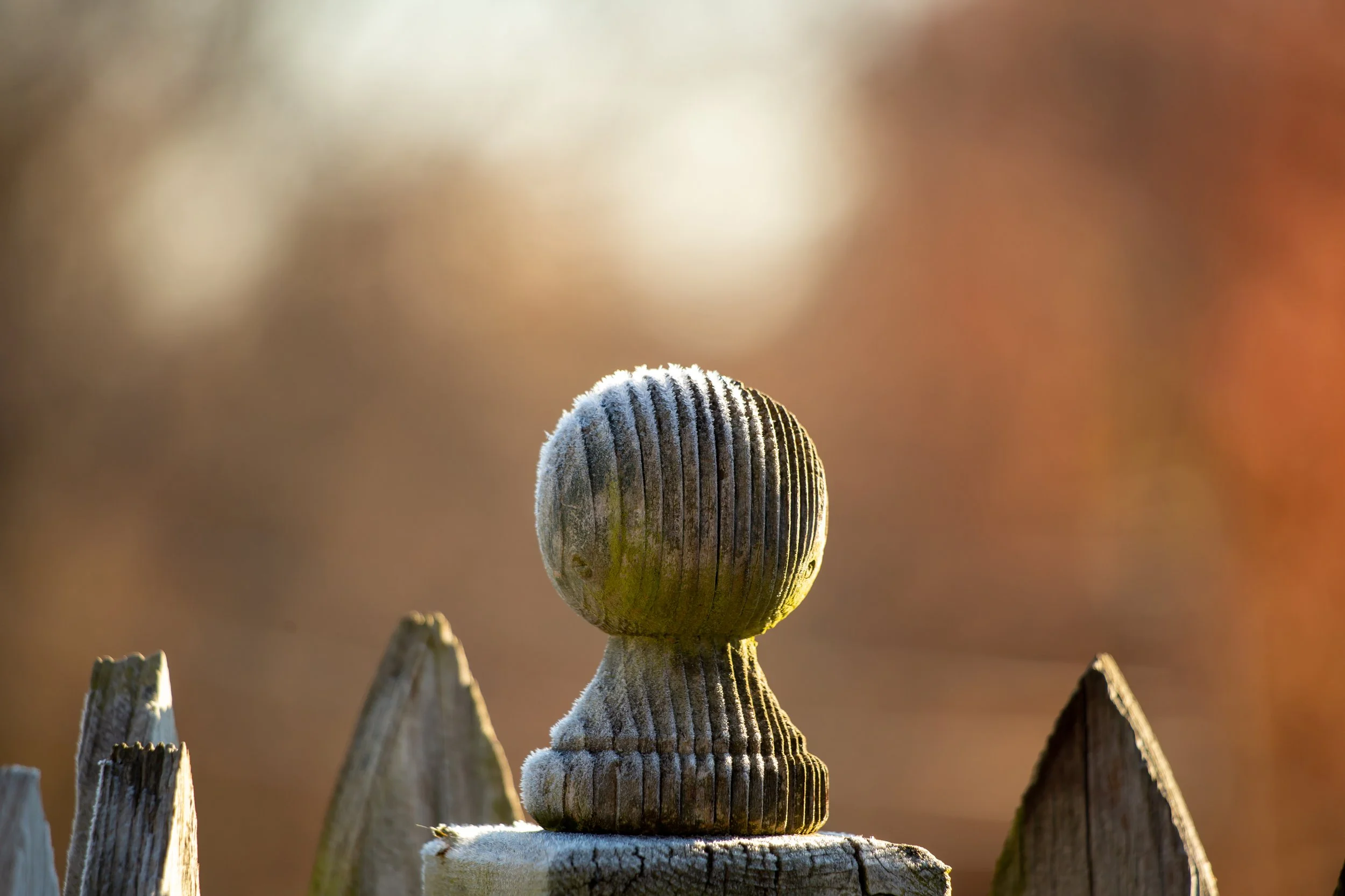 sunrisefrost (1 of 1).jpg