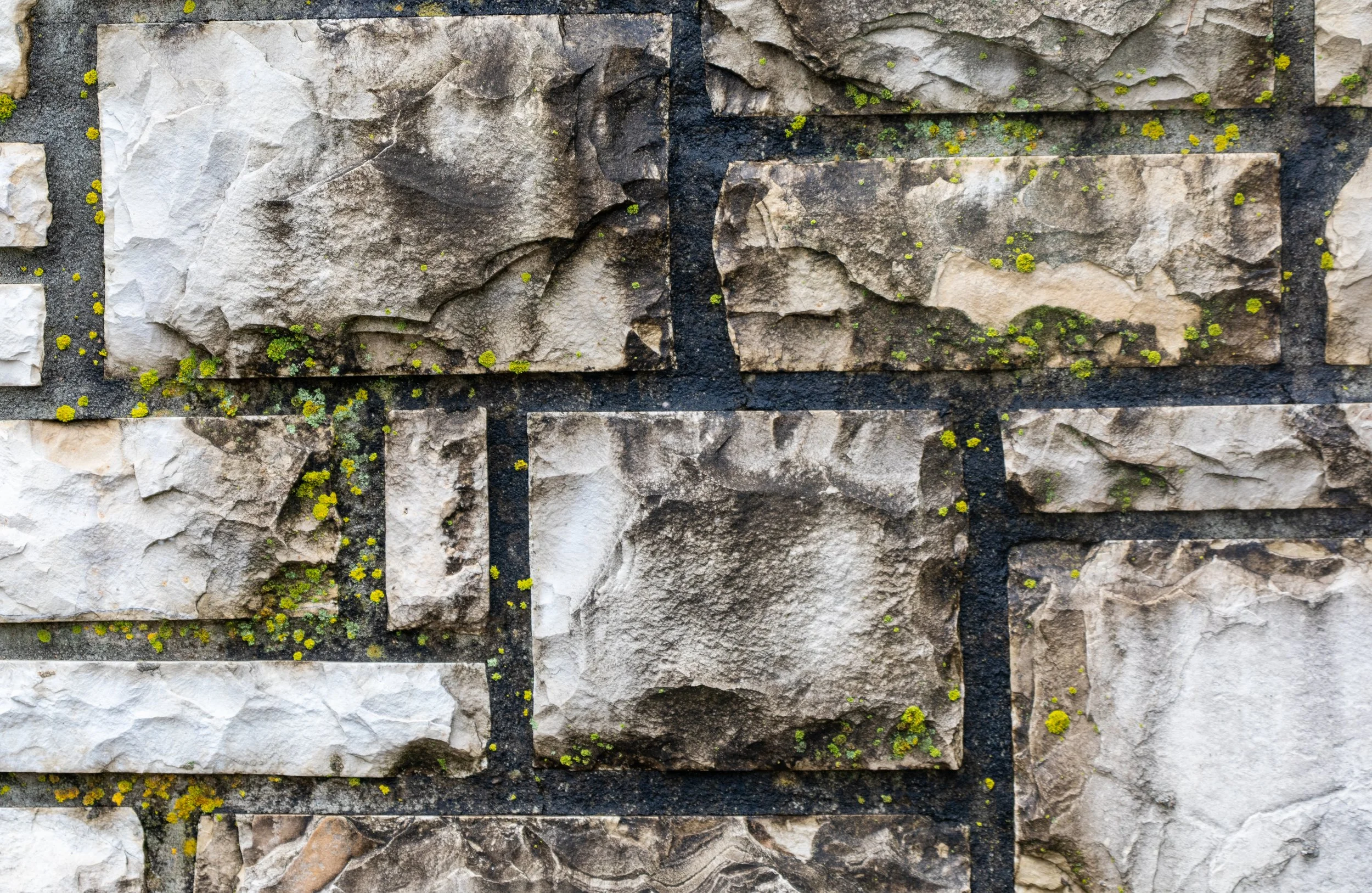 mossystone (1 of 1).jpg