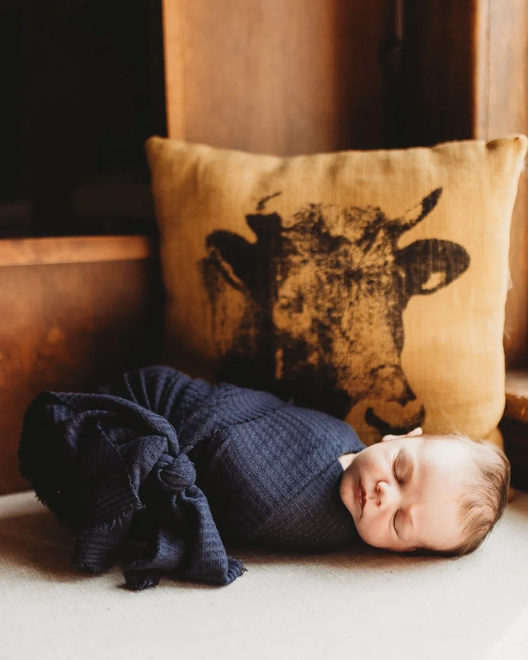 judge david 🐮🤎