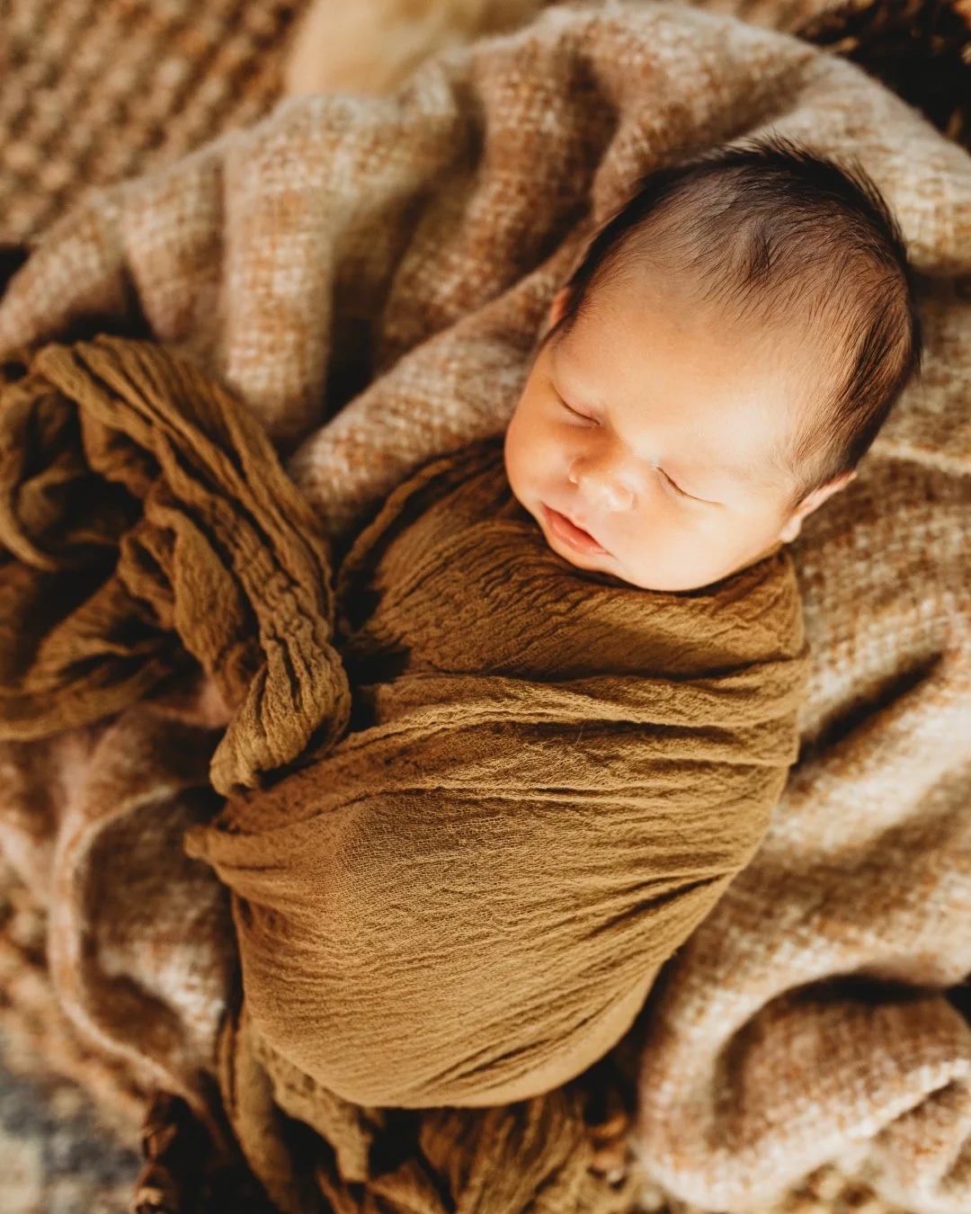Owen Wade 🧸🤎