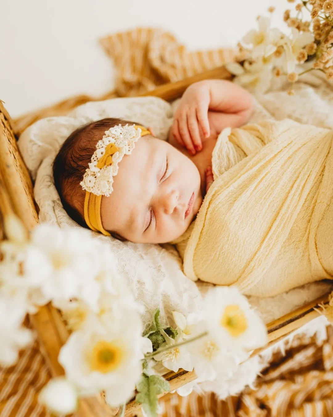 baby Bristol 🌙🐝🔆💛