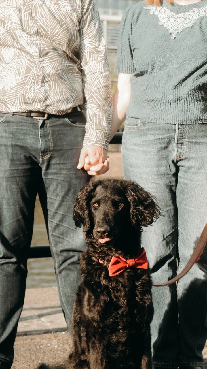 A black dog with curly fur wearing a red bowtie, sitting between two people holding hands, outdoors near a body of water.