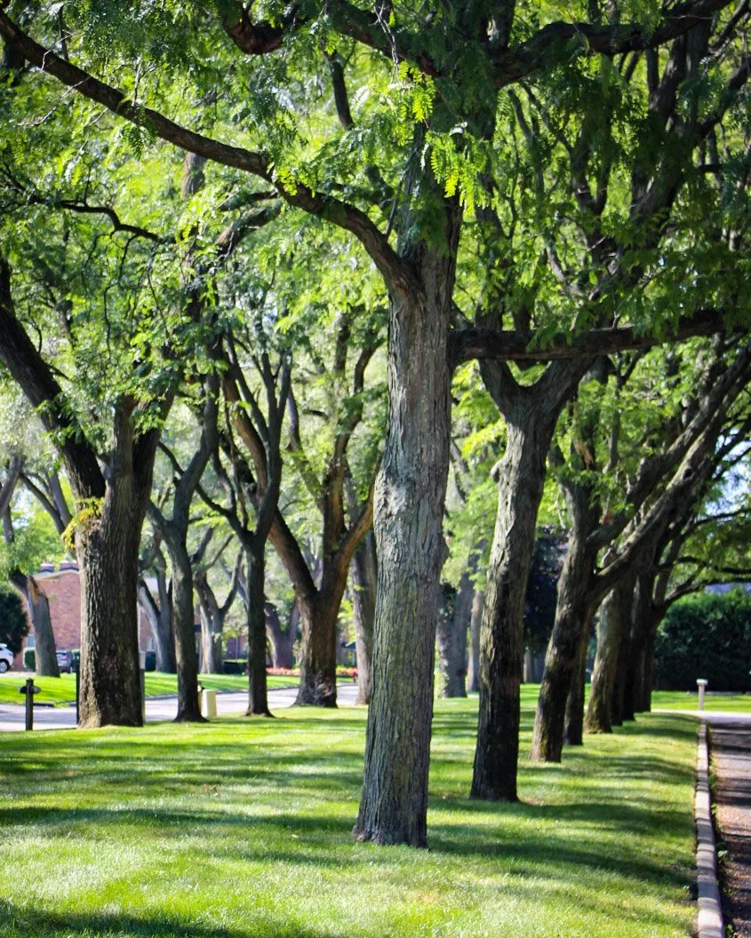 Gallery 1 — Apartment