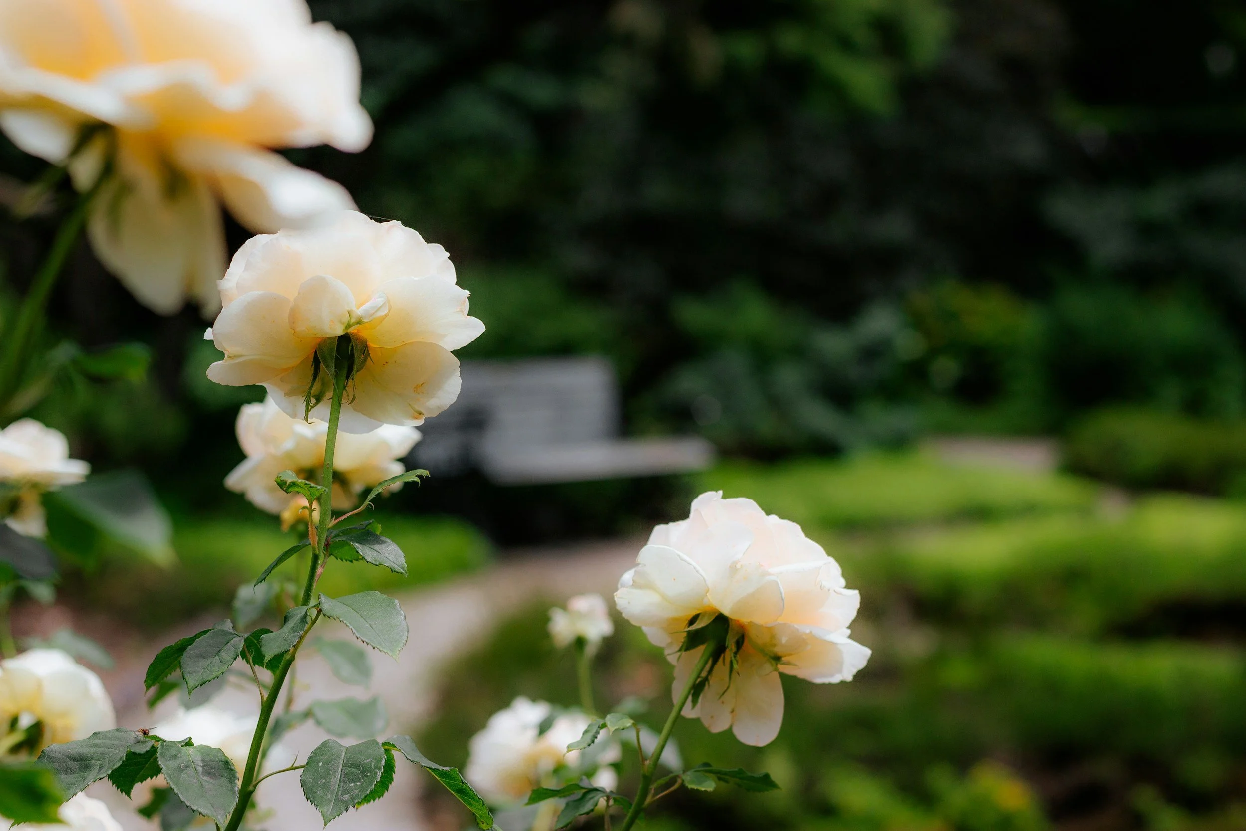 Art in the Garden