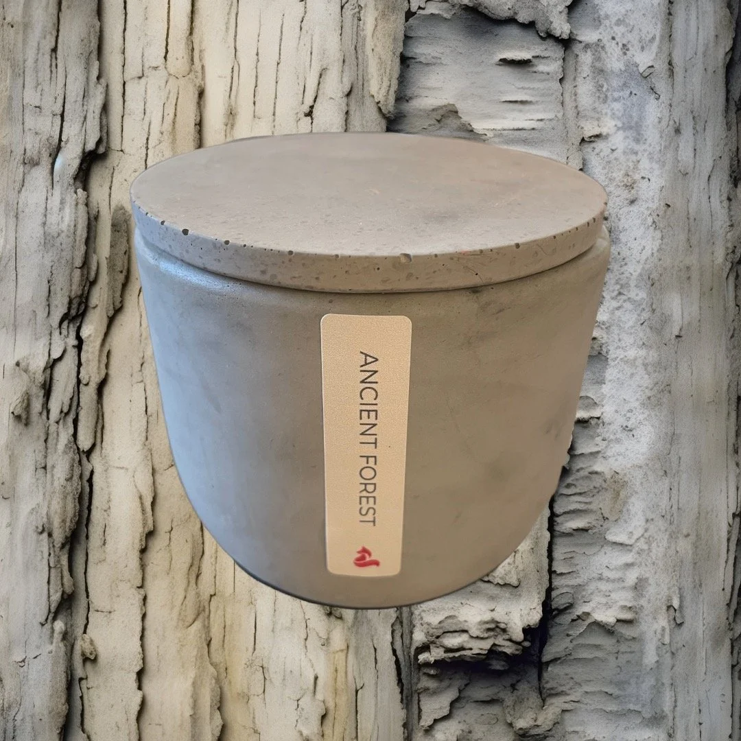 ancient forest-1.jpeg