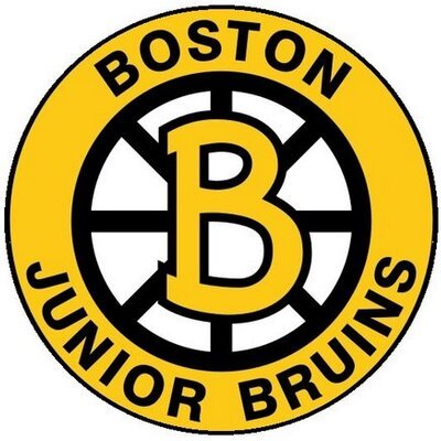 bruins.jpeg