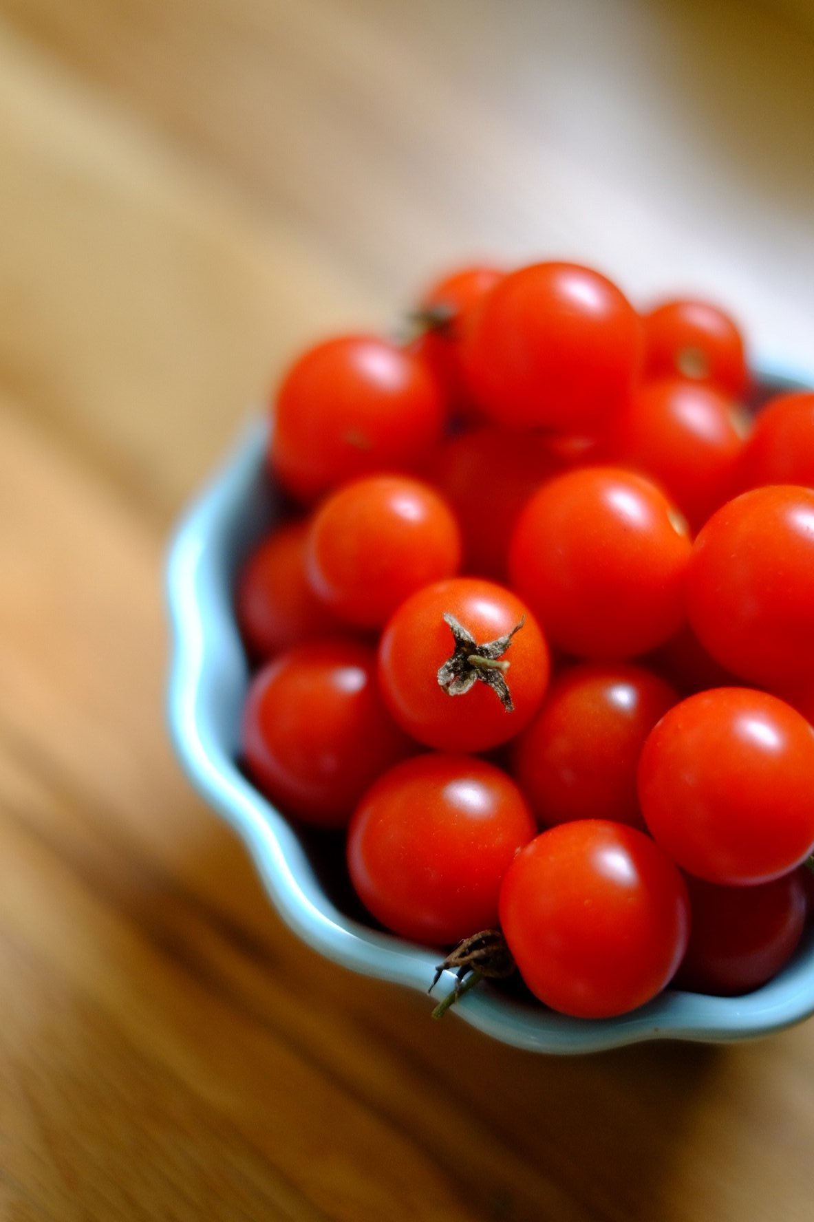 Dzen-Garden-Tomatoes-1.jpg
