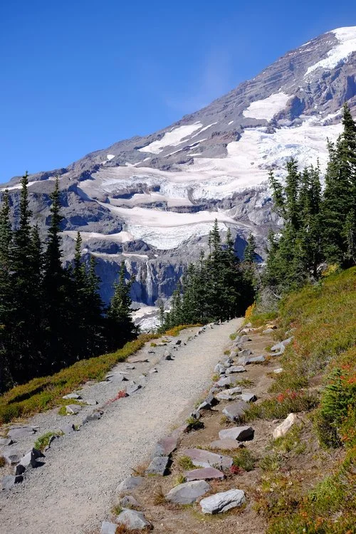 DD-mt-rainer-skyline-trail-1.jpeg