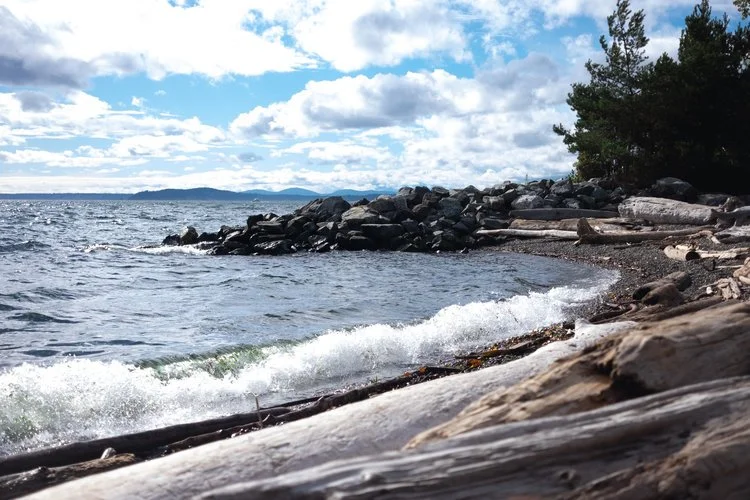 DD-Seattle-ocean.jpeg