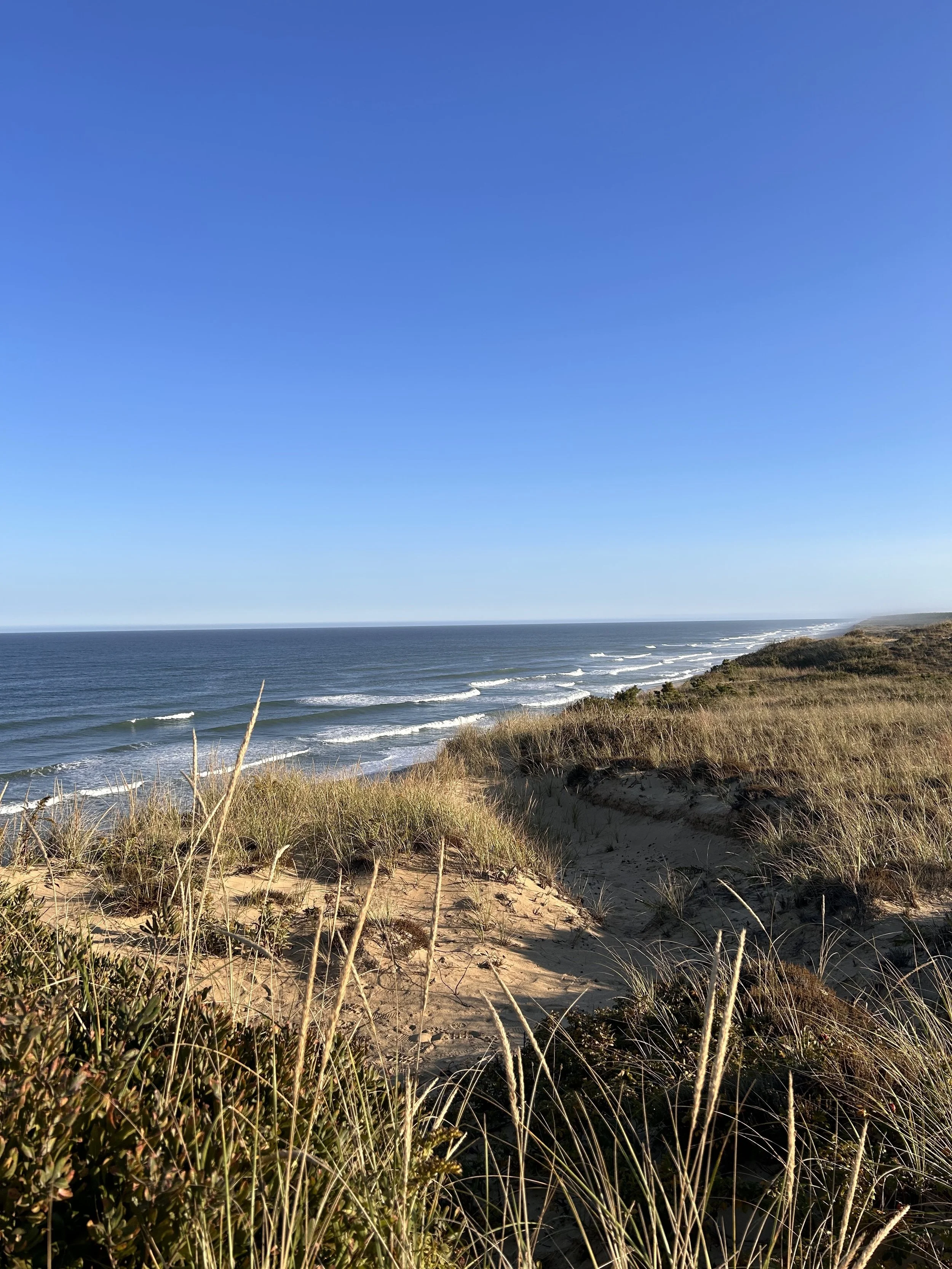 cape-cod-national-seashore.jpg