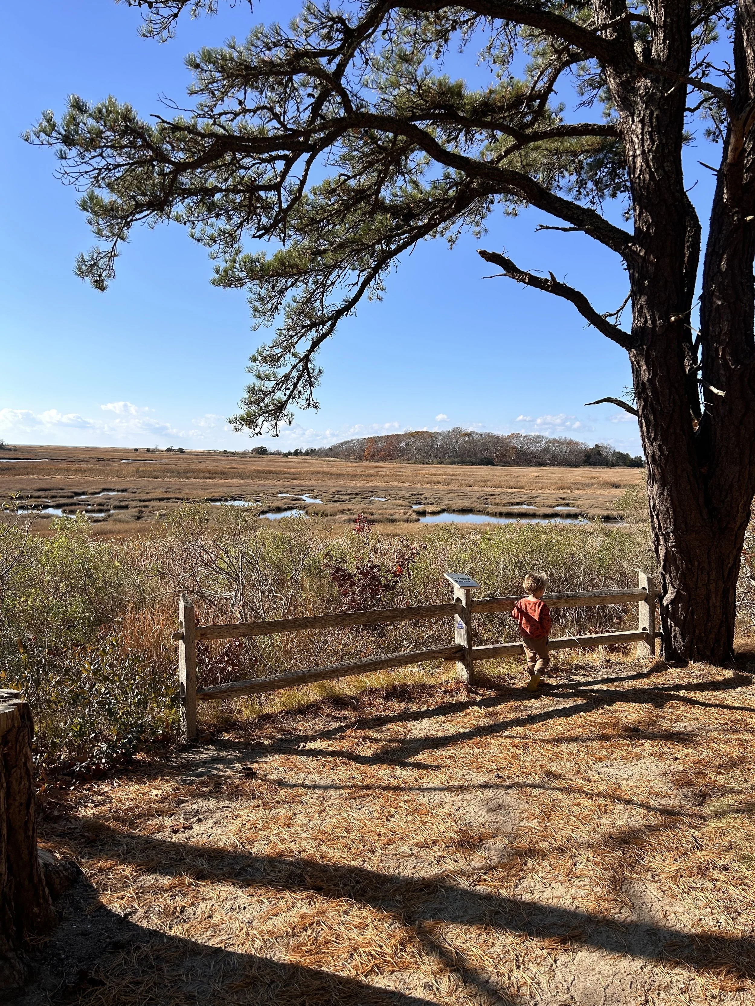 hiking-trails-wellfleet-wildlife-sanctuary.jpg