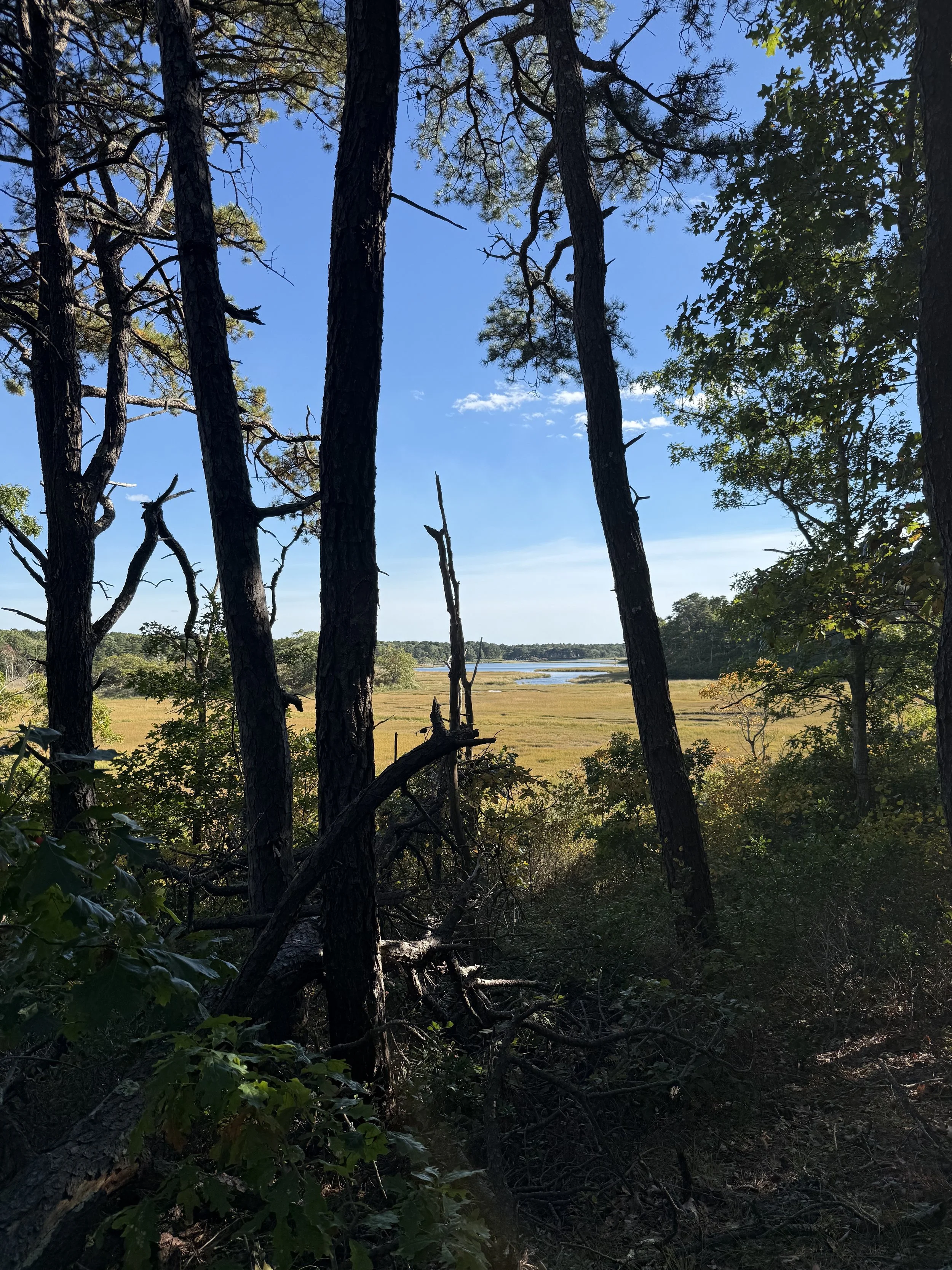 crocker-neck-conservation-area-views.jpg