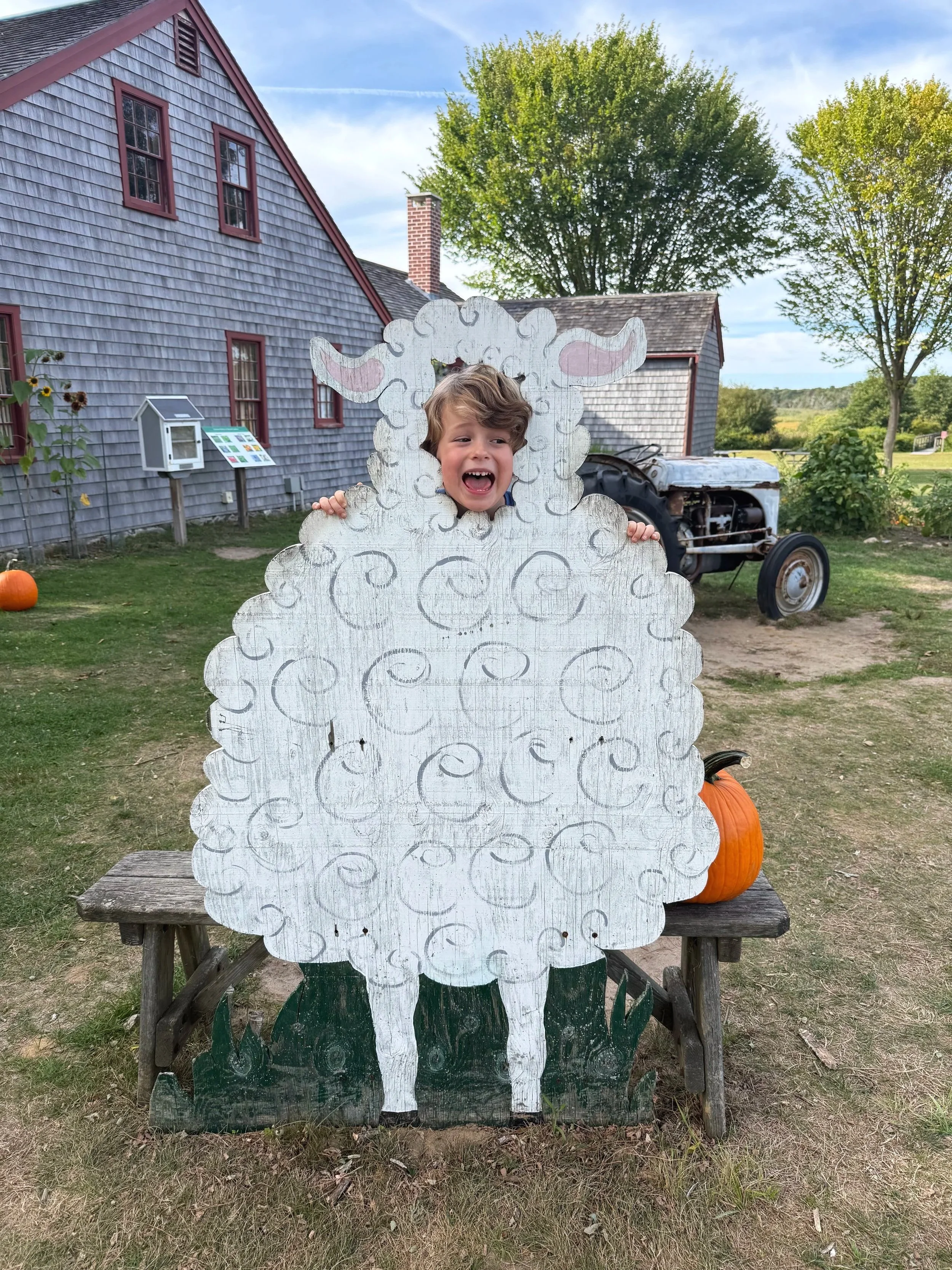 Little boy poking his head through a wooden sheep cut out at Taylor Bray Farm in Yarmouth on Cape Cod