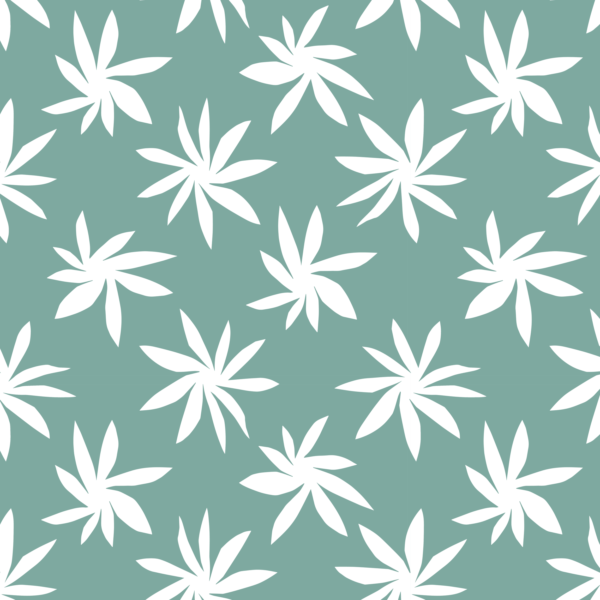 STELLA_20042_SQ_closeup.png