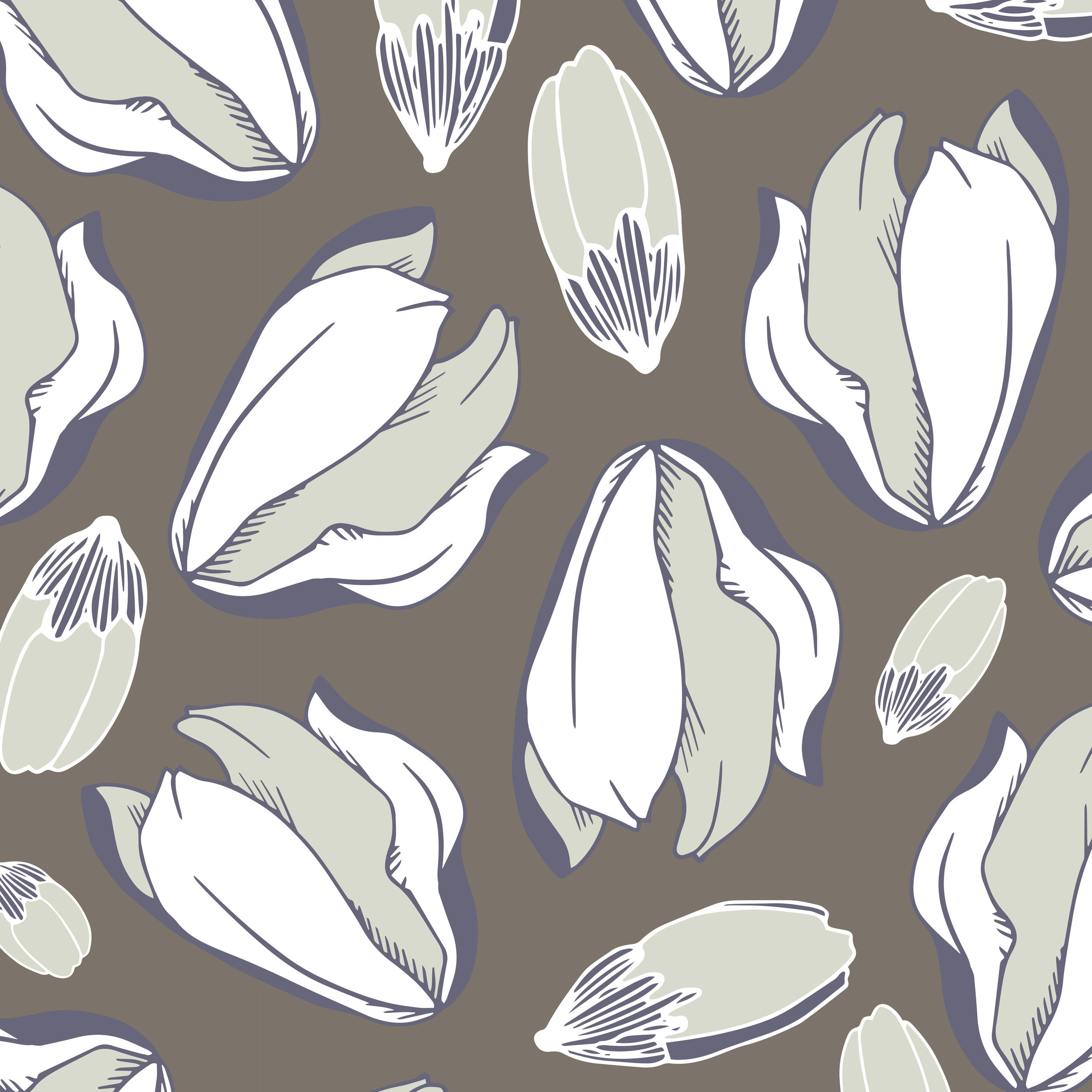 TULIPA_22012_SQ_closeup.png