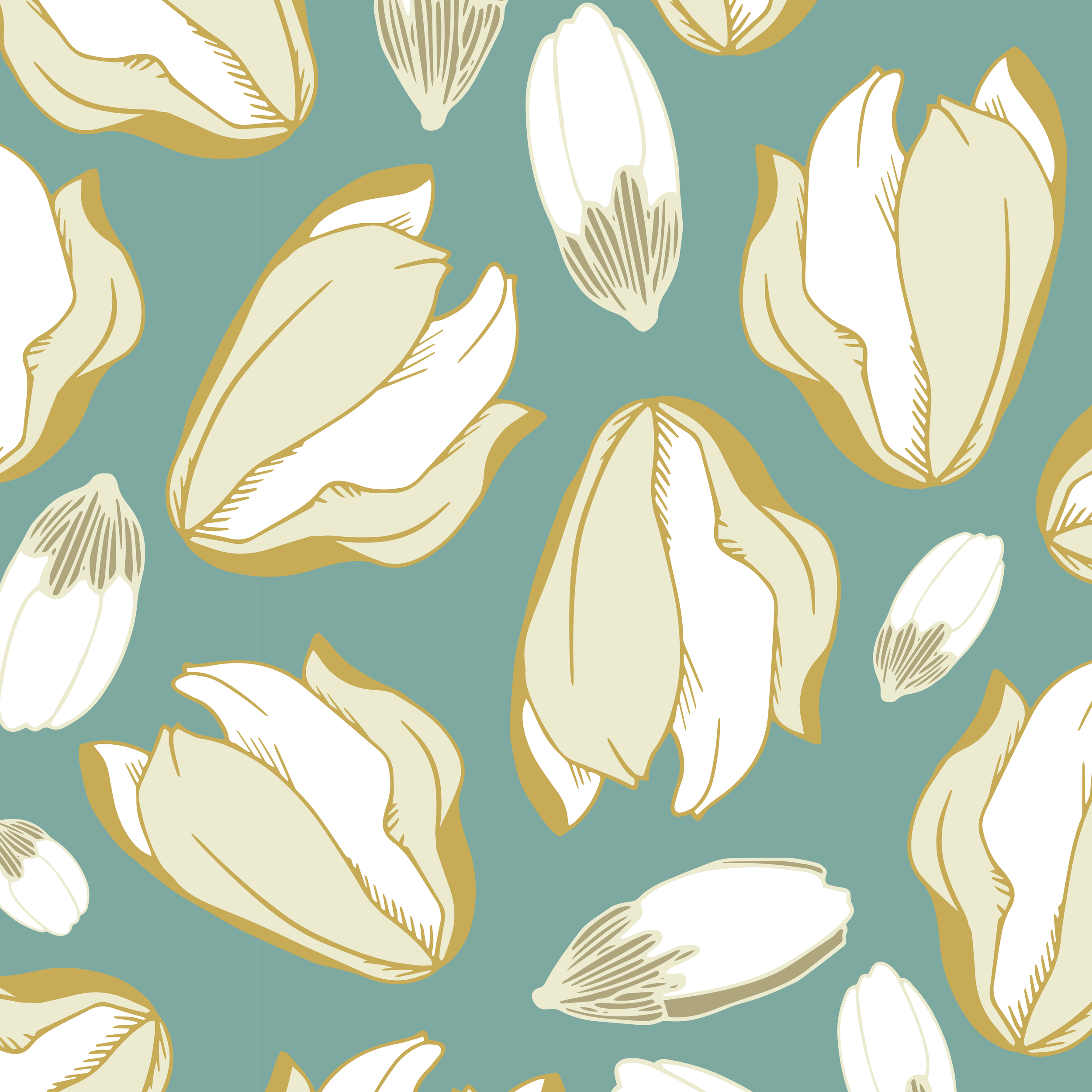 TULIPA_22016_SQ_closeup.png